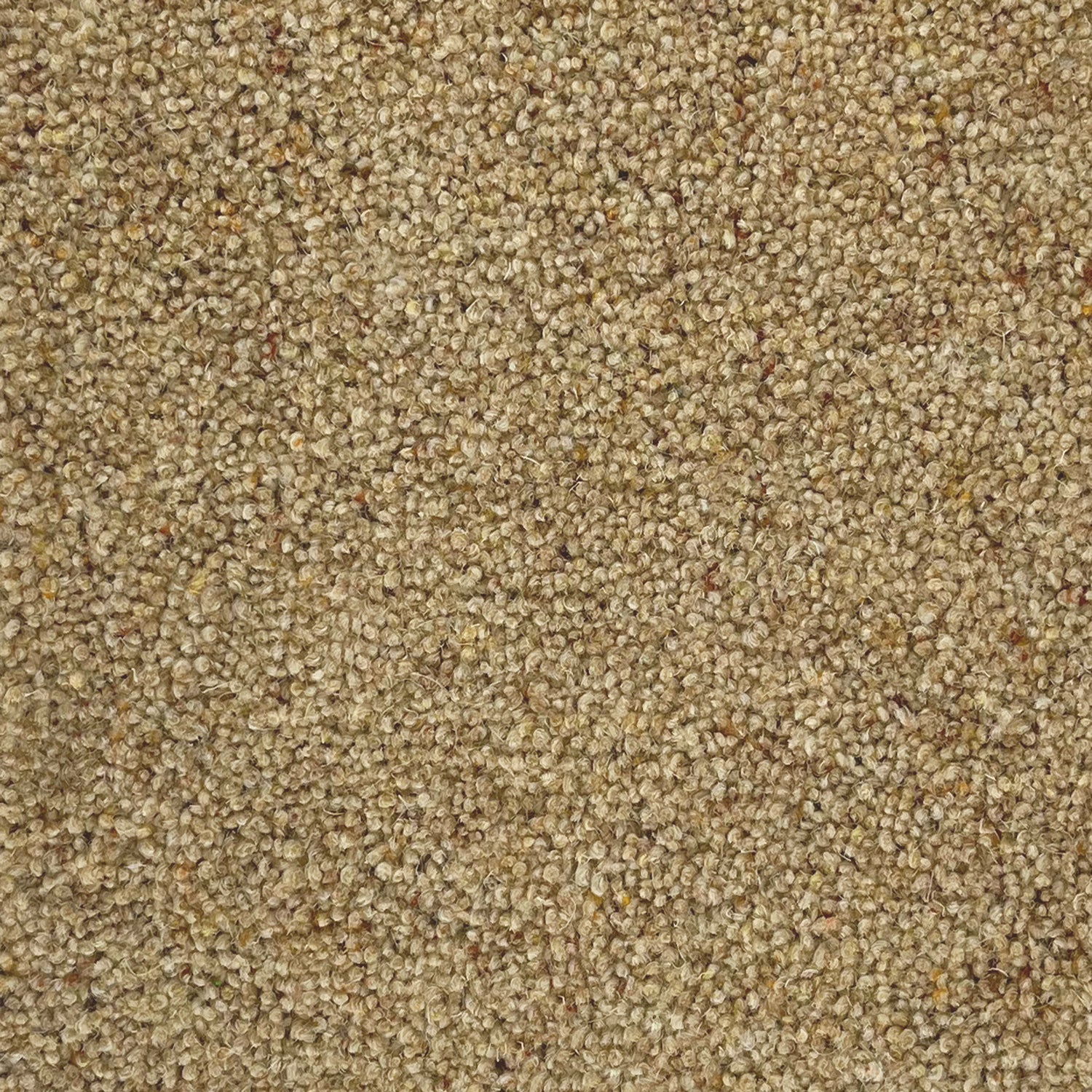 Penthouse Carpets 36oz Carlton 80% Wool Blend Twist Pile Carpet