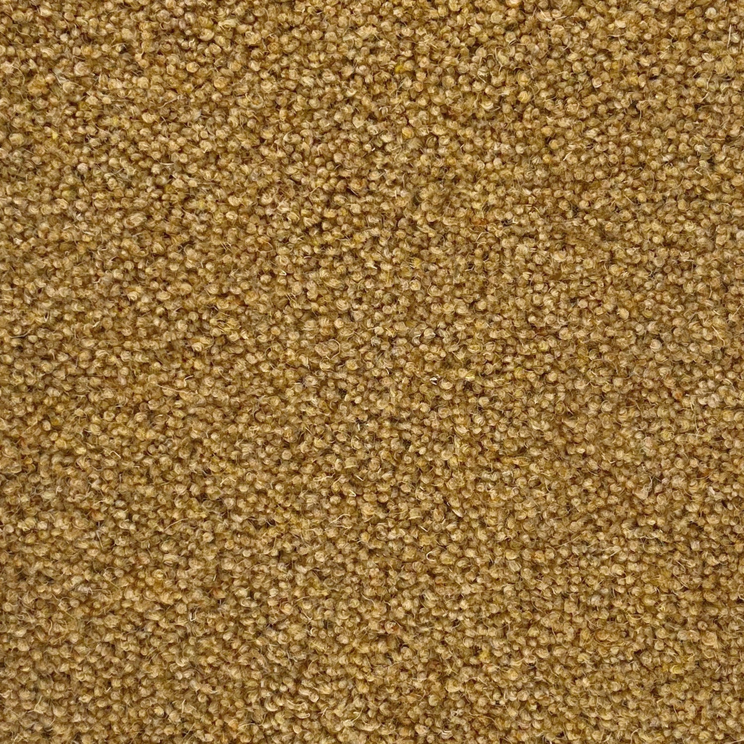 Penthouse Carpets 36oz Carlton 80% Wool Blend Twist Pile Carpet