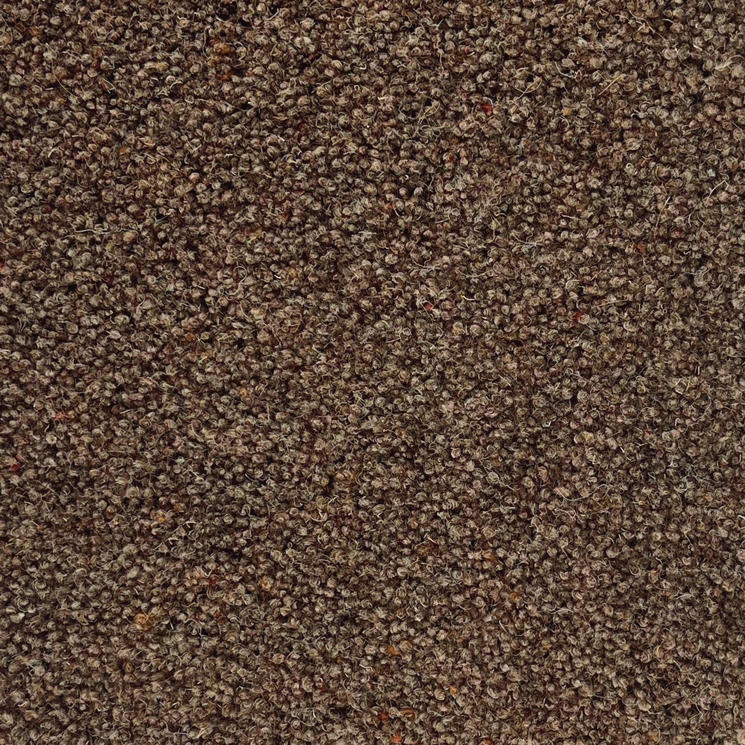 Penthouse Carpets 42oz Carlton 80% Wool Blend Twist Pile Carpet