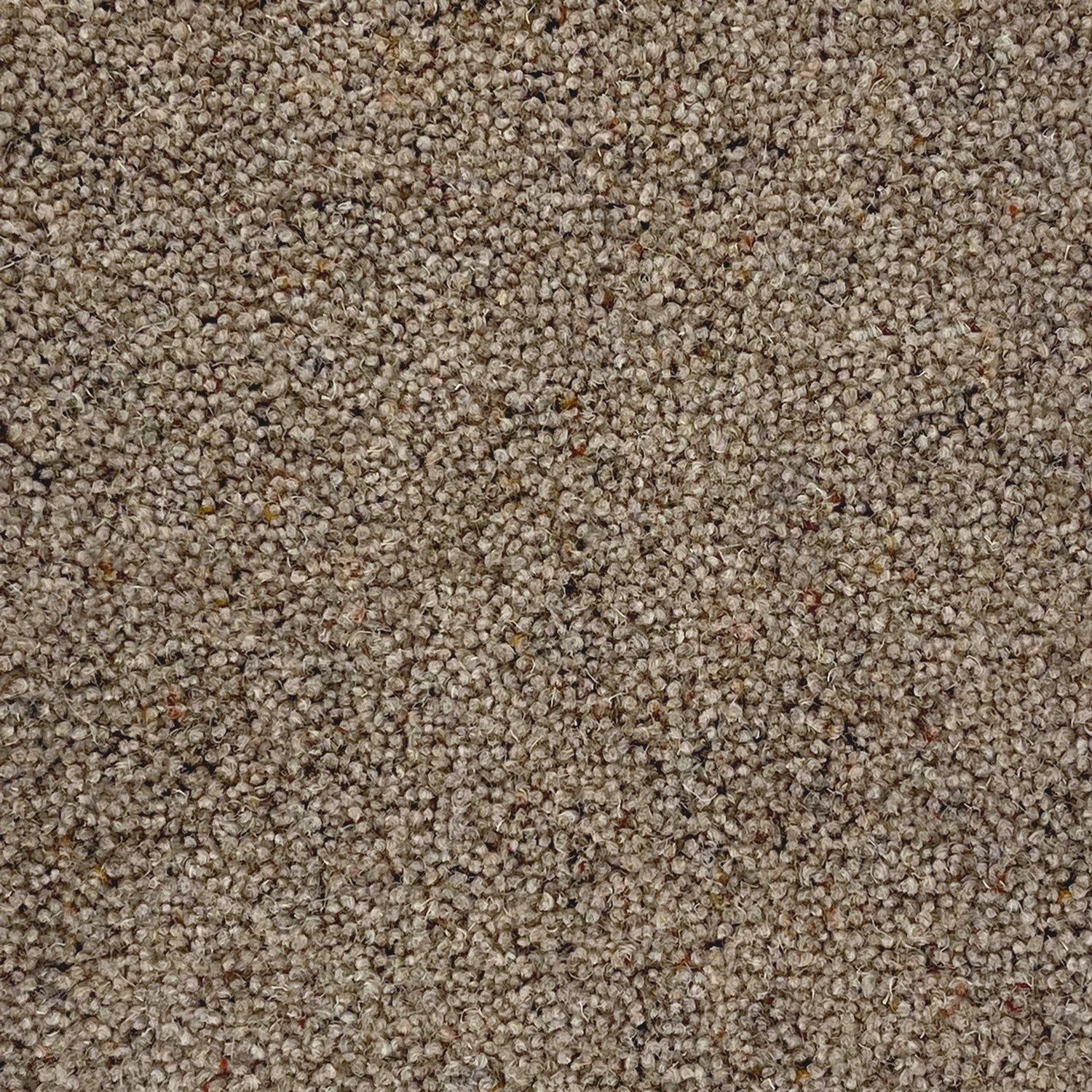 Penthouse Carpets 36oz Carlton 80% Wool Blend Twist Pile Carpet