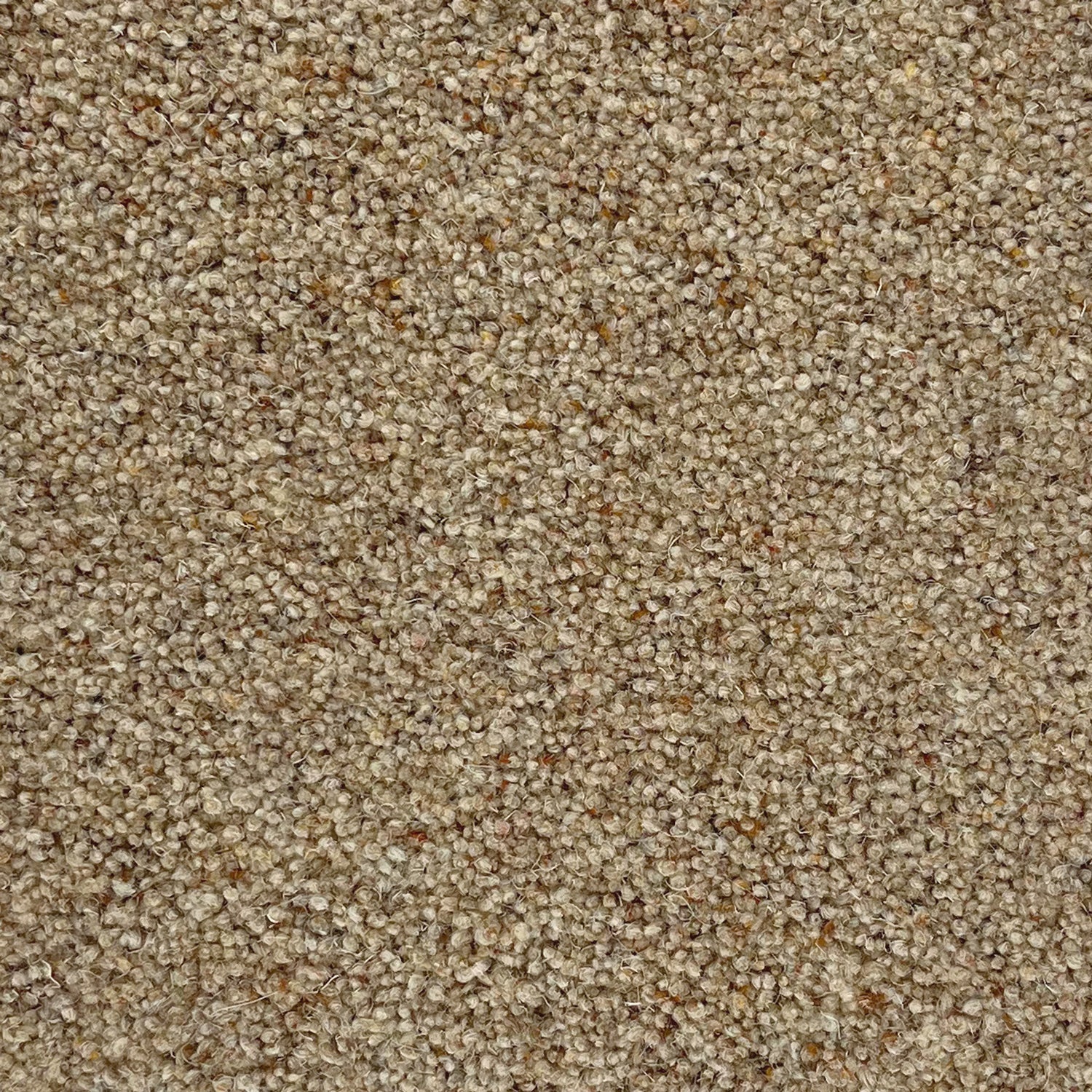 Penthouse Carpets 36oz Carlton 80% Wool Blend Twist Pile Carpet
