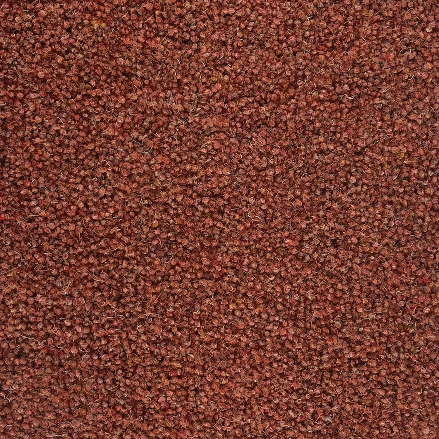 Penthouse Carpets 36oz Carlton 80% Wool Blend Twist Pile Carpet