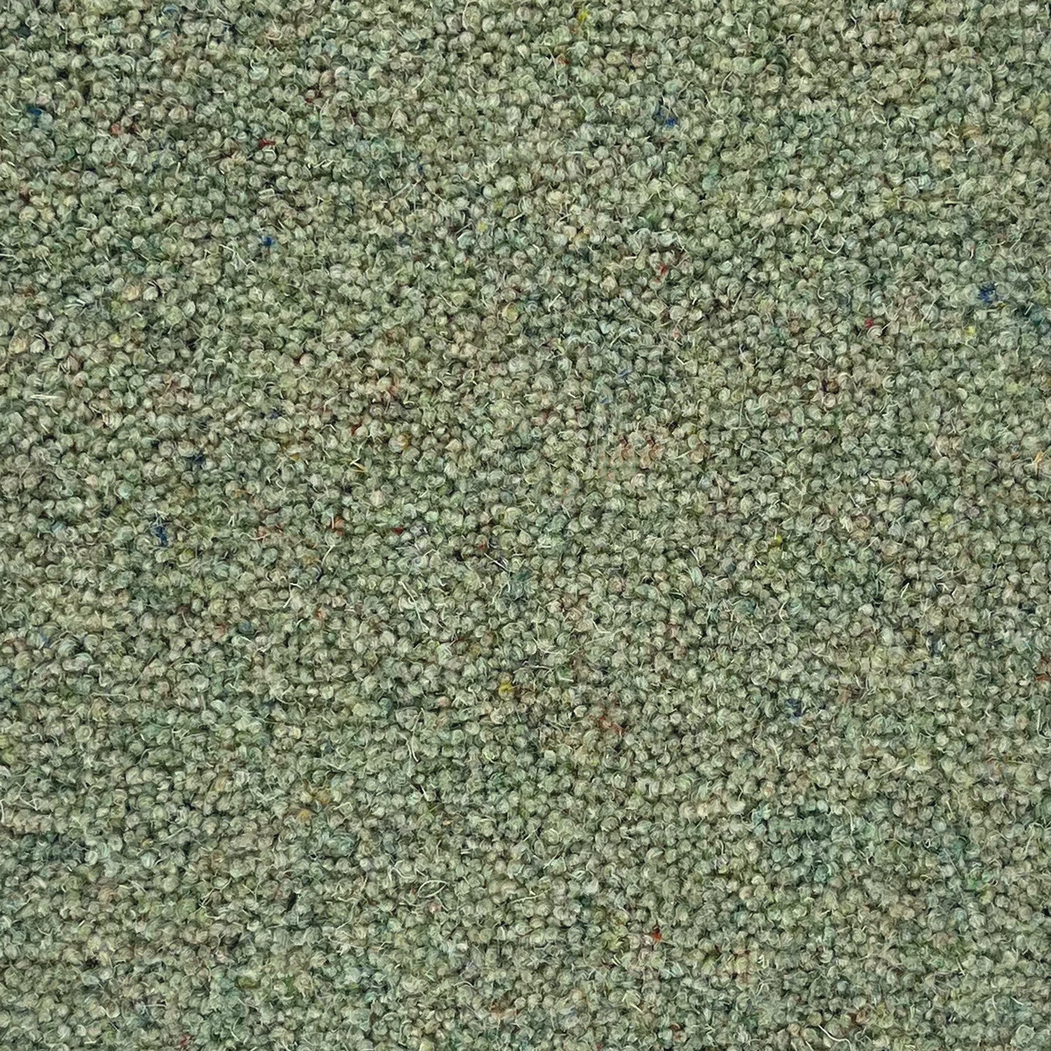 Penthouse Carpets 42oz Carlton 80% Wool Blend Twist Pile Carpet