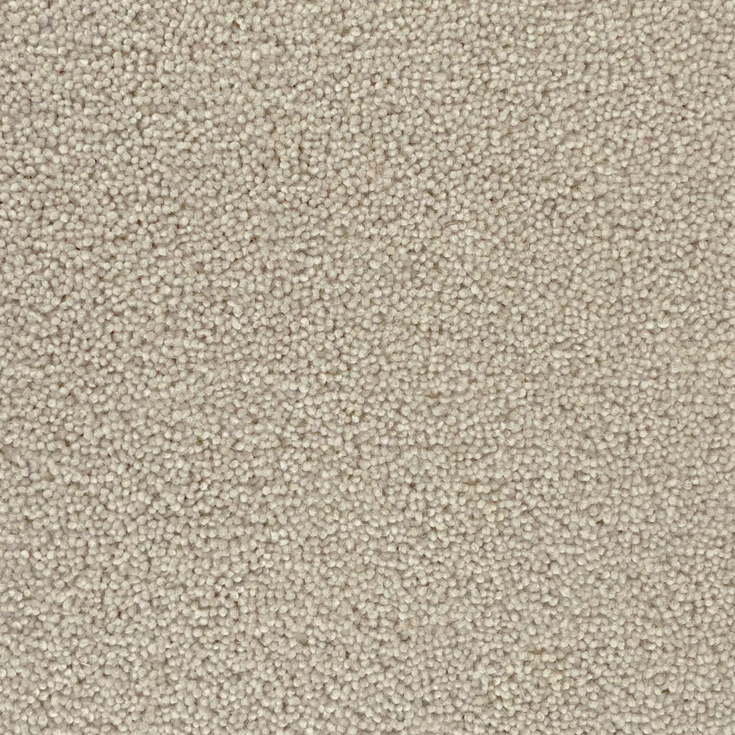 Penthouse Carpets 45oz Colorado 80% Wool Blend Twist Pile Carpet