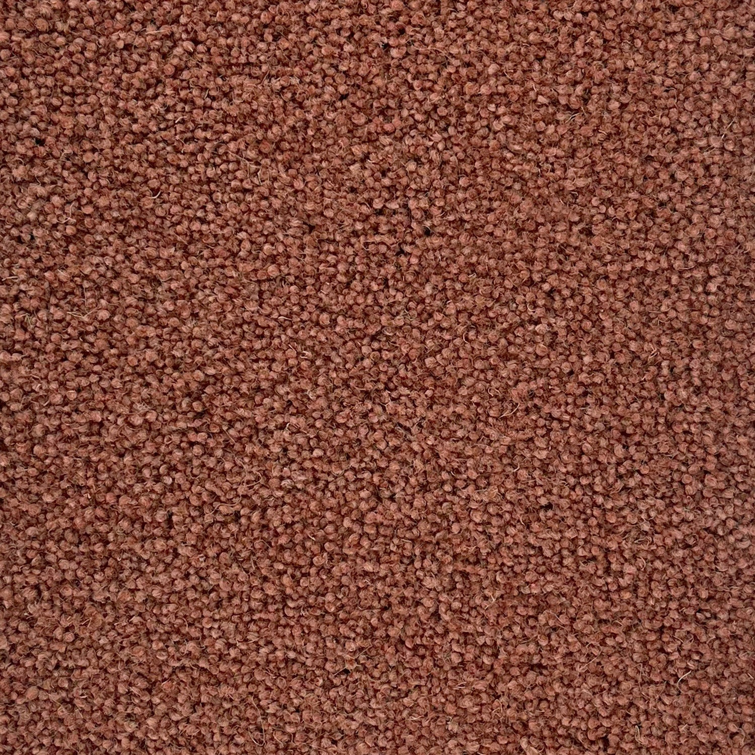 Penthouse Carpets 45oz Colorado 80% Wool Blend Twist Pile Carpet