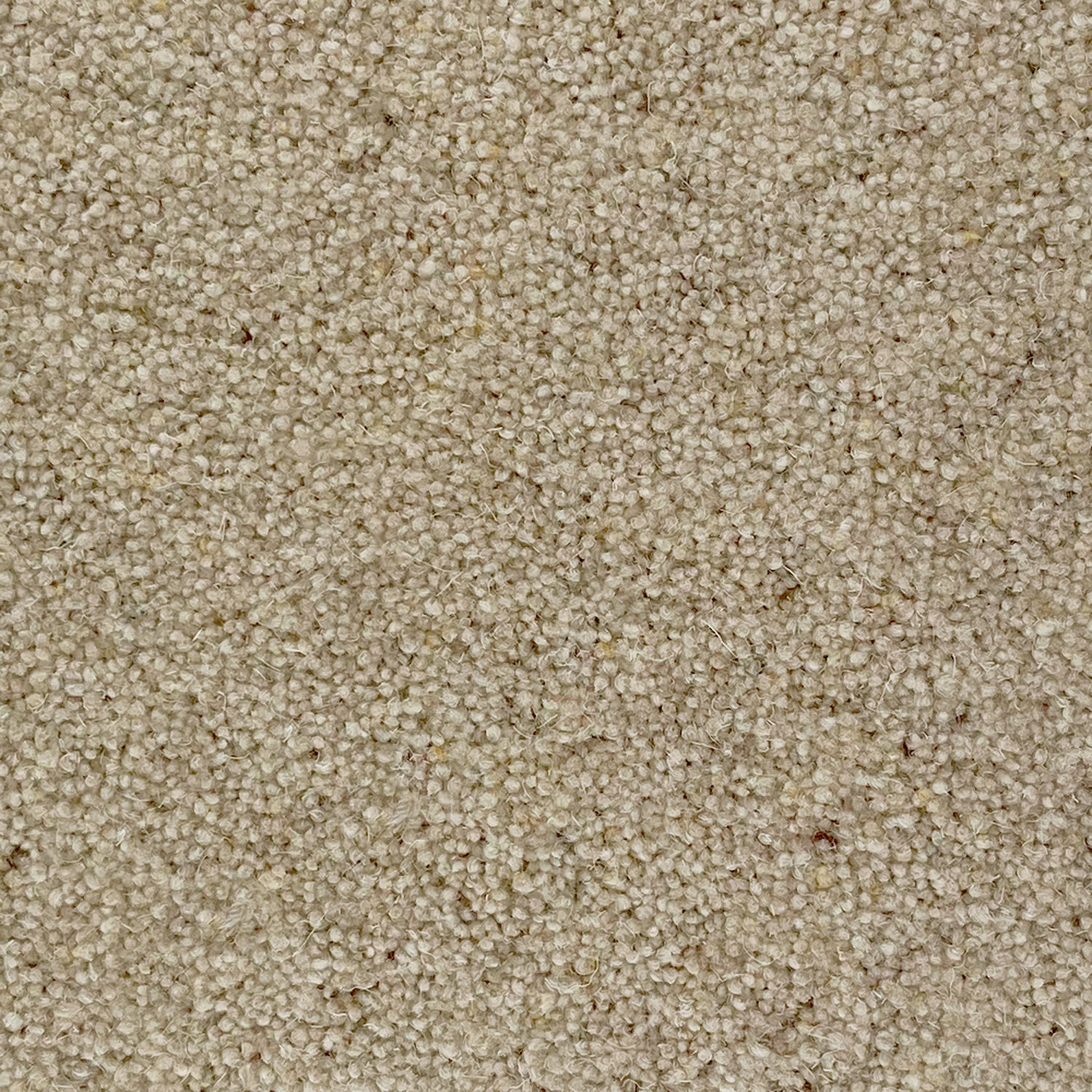 Penthouse Carpets 40oz Crofter 80% Wool Blend Twist Carpet