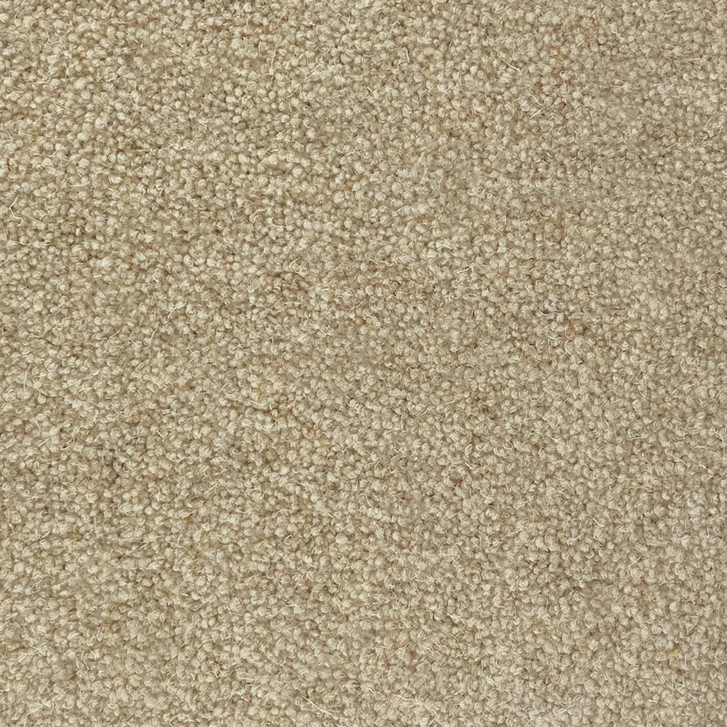 Penthouse Carpets 50oz Cumbrian 80% Wool Blend Twist Pile Carpet