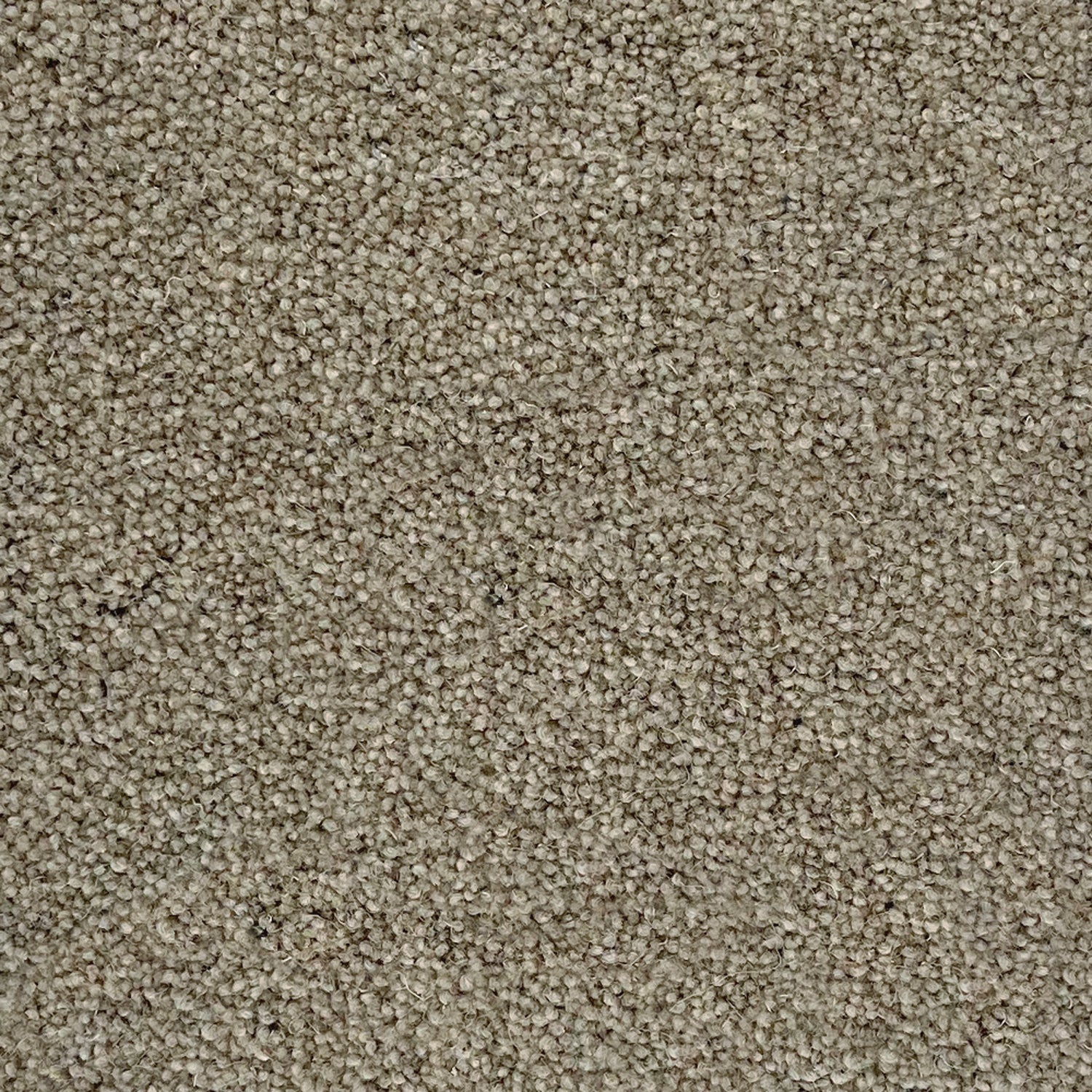 Penthouse Carpets 60oz Esprit Nouveau 80% Wool Blend Twist Pile Carpet