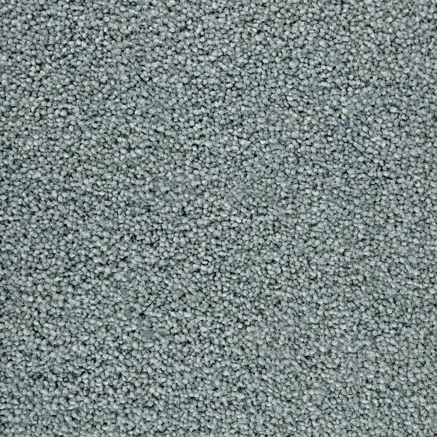Penthouse Carpets 60oz Esprit Nouveau 80% Wool Blend Twist Pile Carpet
