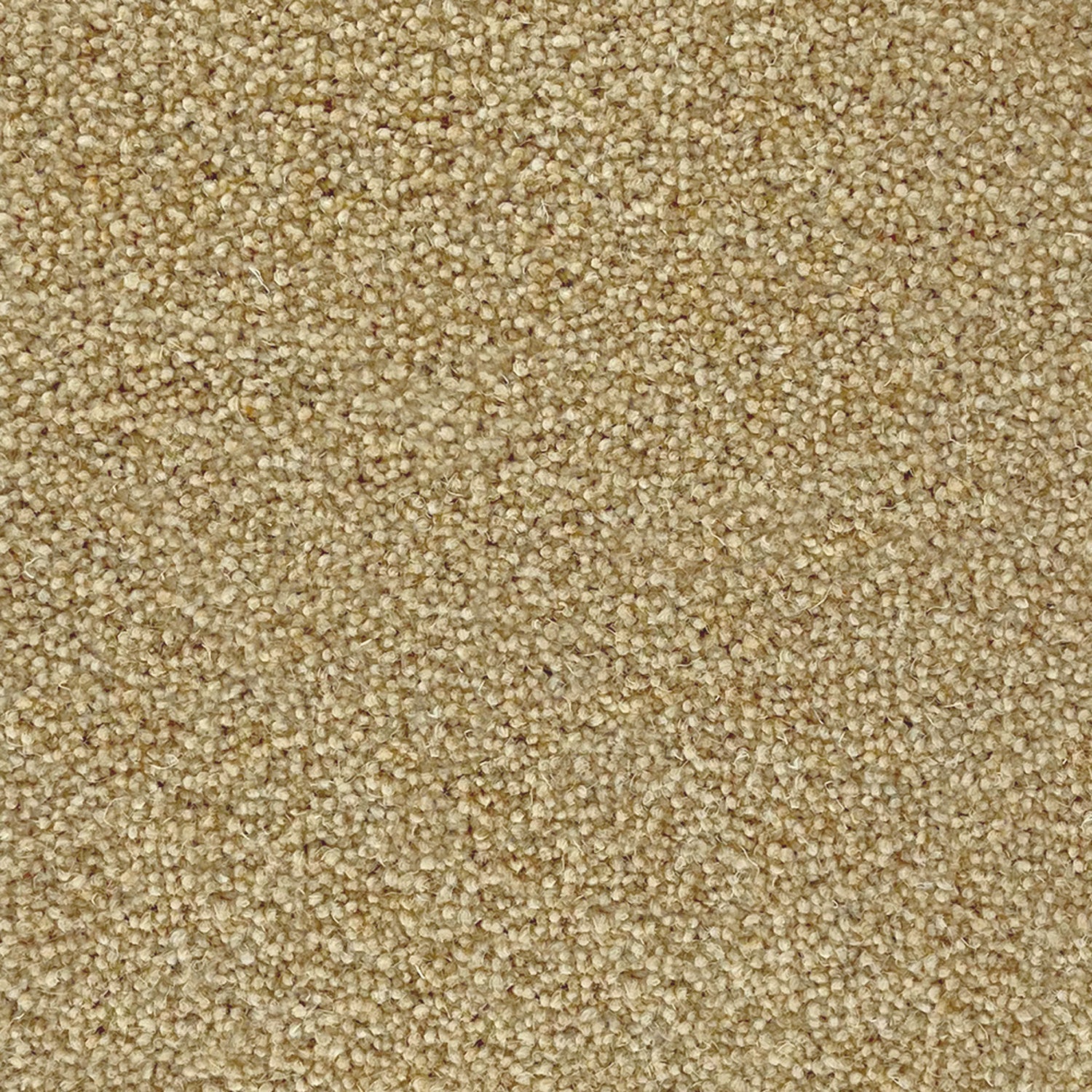 Penthouse Carpets 60oz Esprit Nouveau 80% Wool Blend Twist Pile Carpet