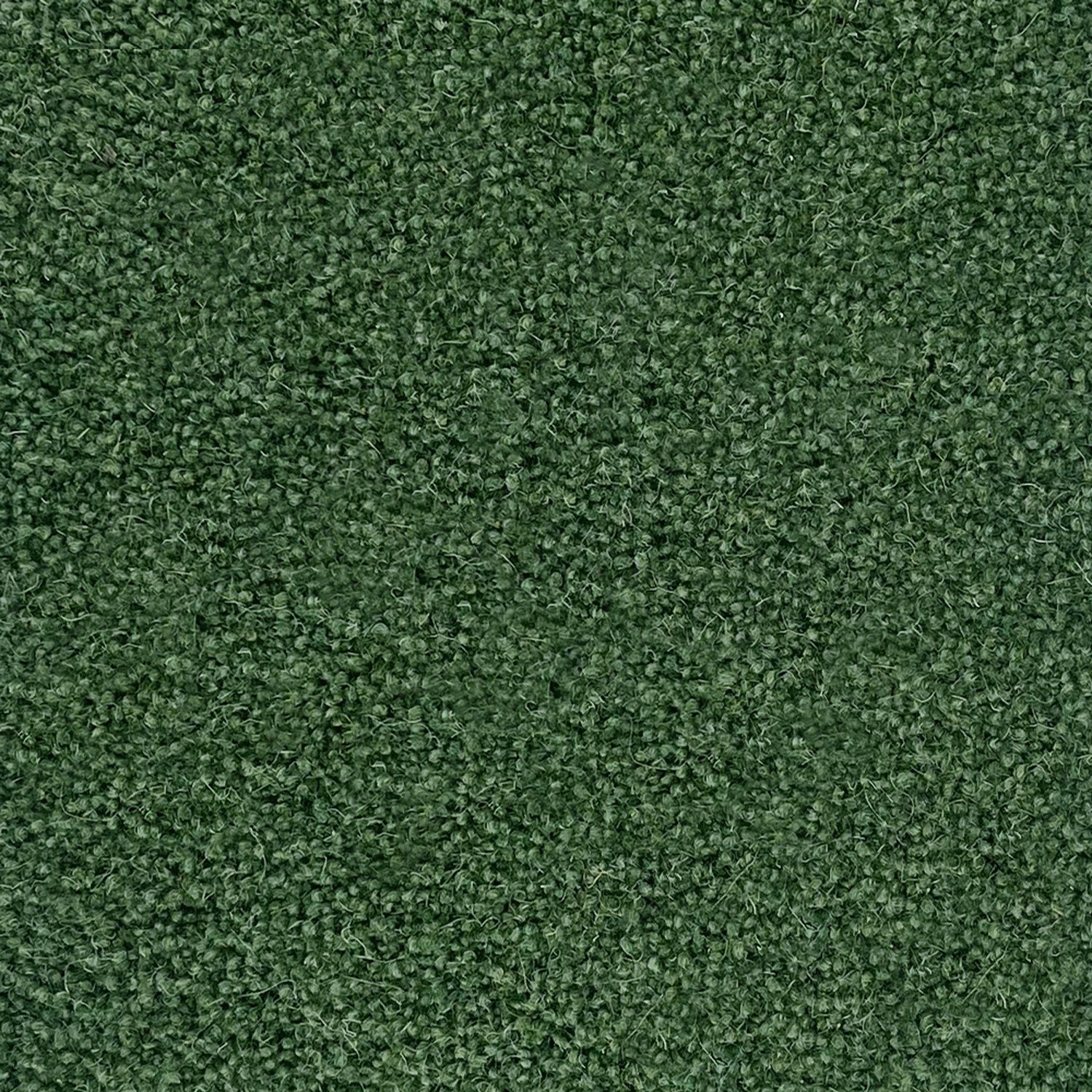 Penthouse Carpets 60oz Esprit Nouveau 80% Wool Blend Twist Pile Carpet