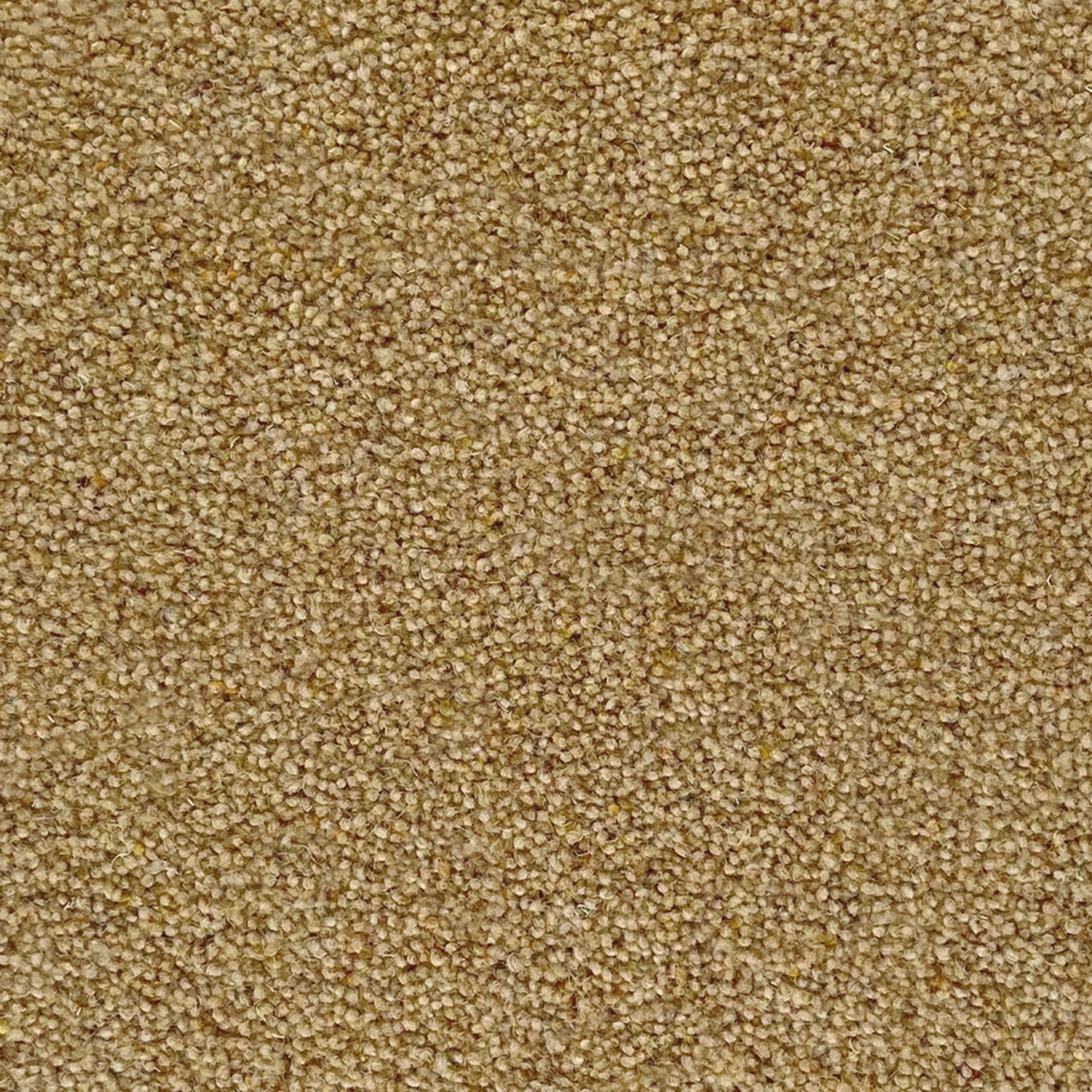 Penthouse Carpets 60oz Esprit Nouveau 80% Wool Blend Twist Pile Carpet