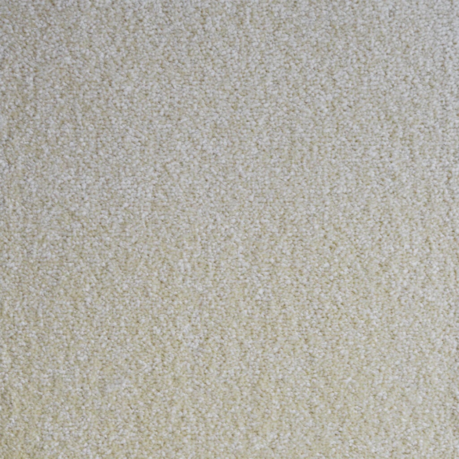 Penthouse Carpets Flair Twist Carpet