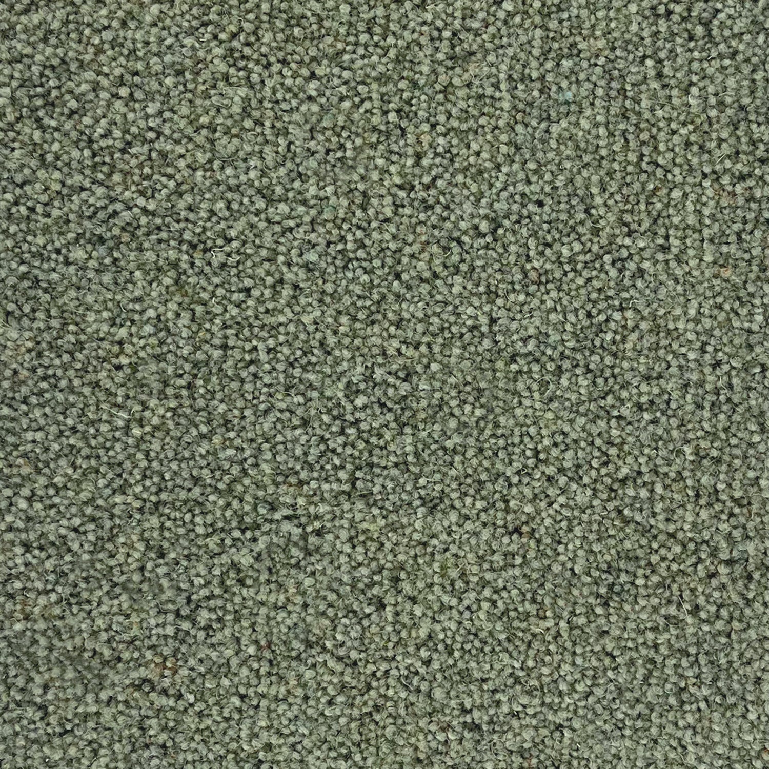 Penthouse Carpets 40oz Pentwist Colours 80% Wool Blend Twist Pile Carpet