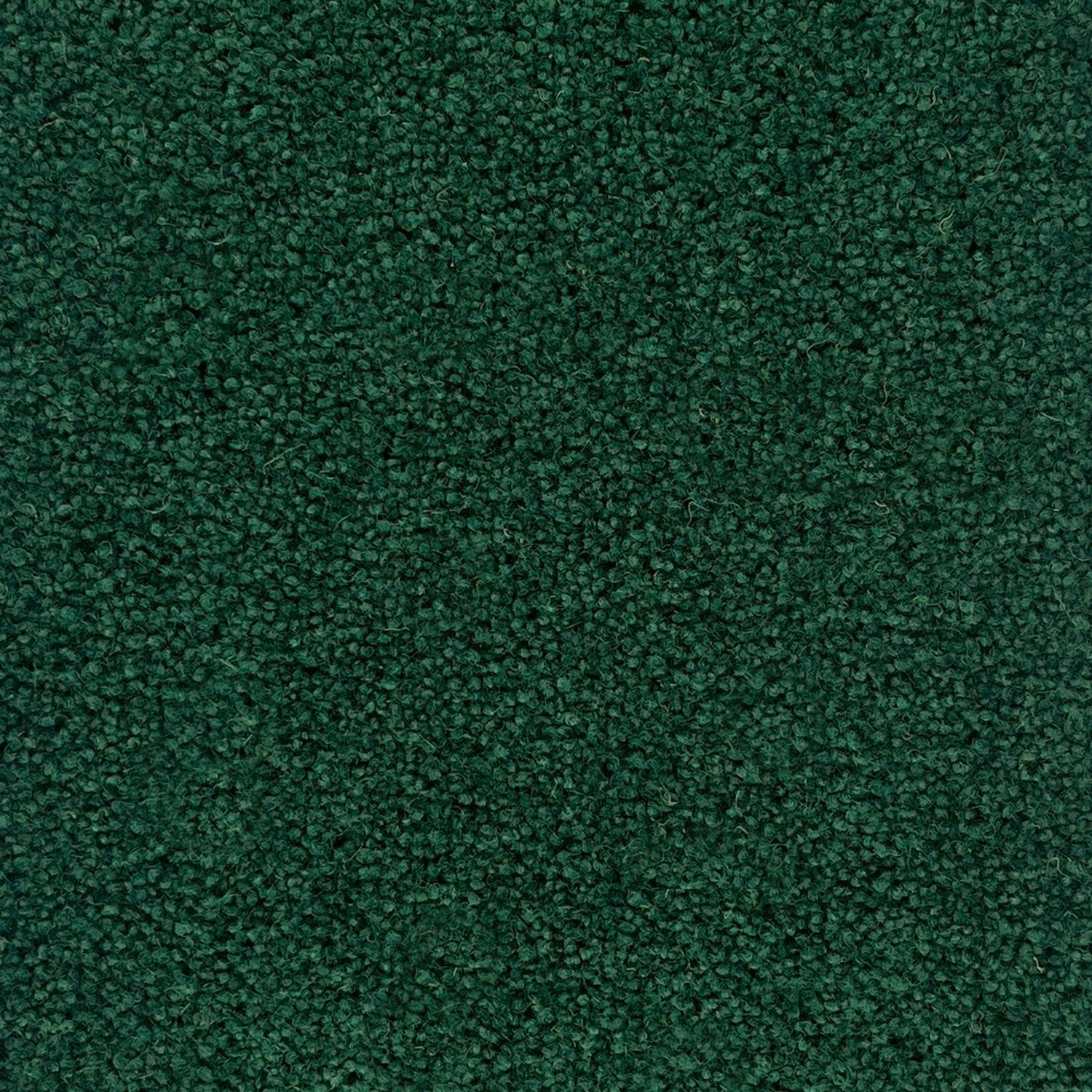 Penthouse Carpets 50oz Pentwist Colours 80% Wool Blend Twist Pile Carpet