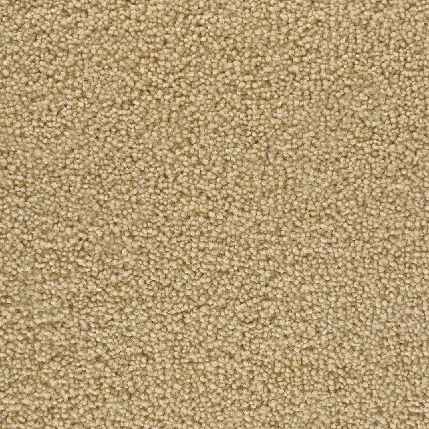 Penthouse Carpets 40oz Pentwist Colours 80% Wool Blend Twist Pile Carpet