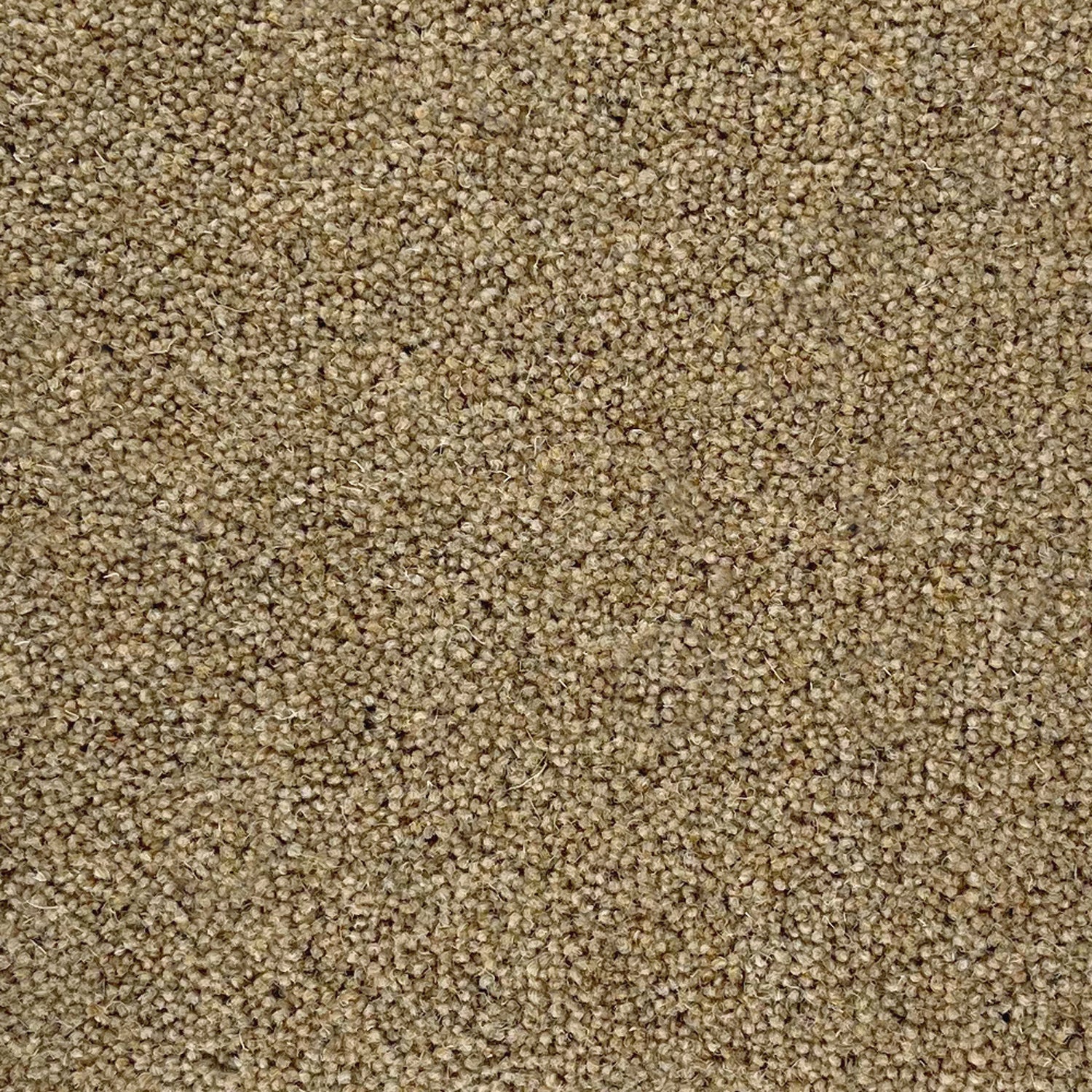 Penthouse Carpets 50oz Pentwist Naturals 80% Wool Blend Twist Pile Carpet