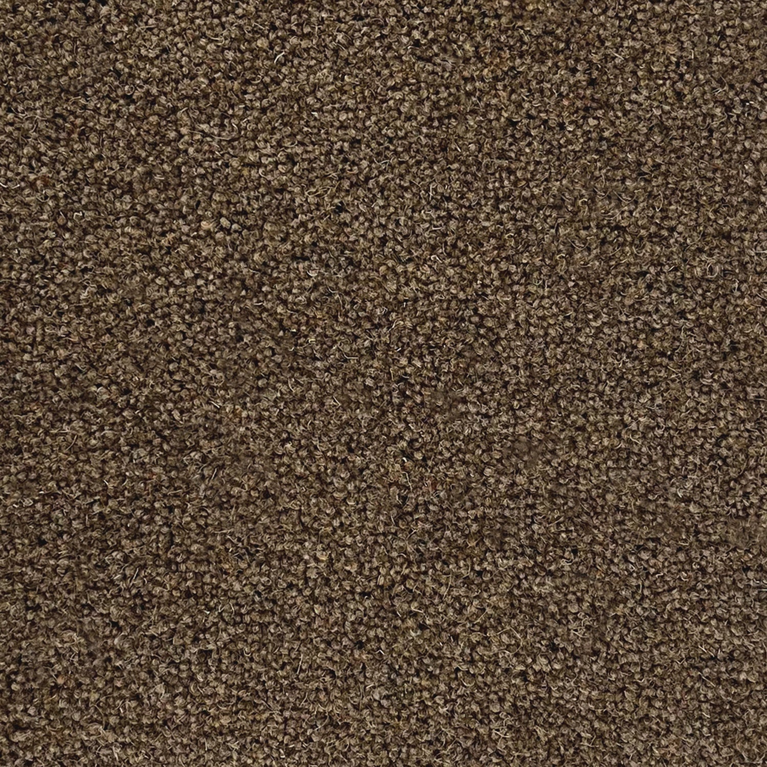Penthouse Carpets 50oz Pentwist Naturals 80% Wool Blend Twist Pile Carpet
