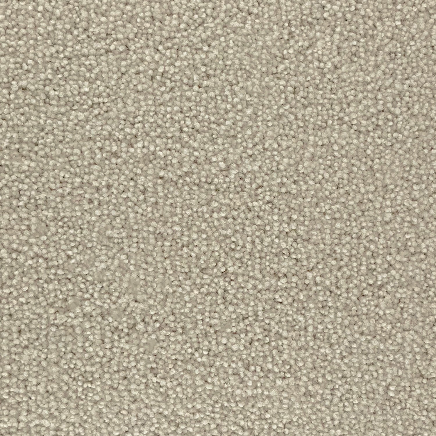 Penthouse Carpets 50oz Pentwist Naturals 80% Wool Blend Twist Pile Carpet