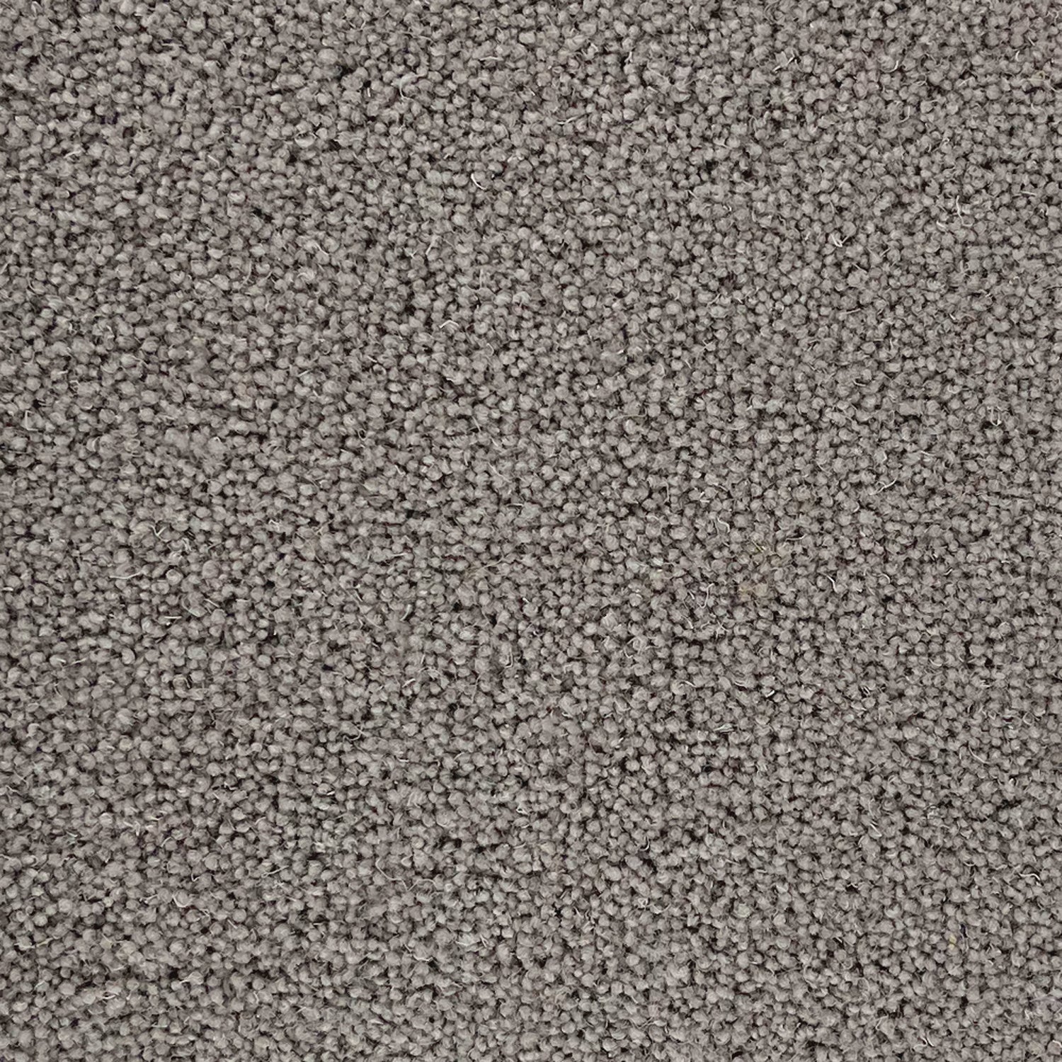 Penthouse Carpets 40oz Pentwist Naturals 80% Wool Blend Twist Pile Carpet