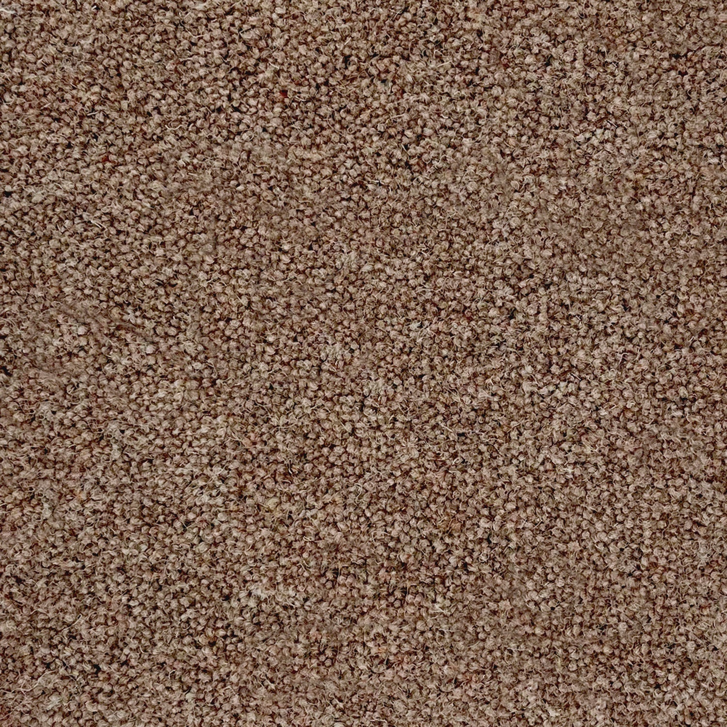 Penthouse Carpets 50oz Pentwist Naturals 80% Wool Blend Twist Pile Carpet