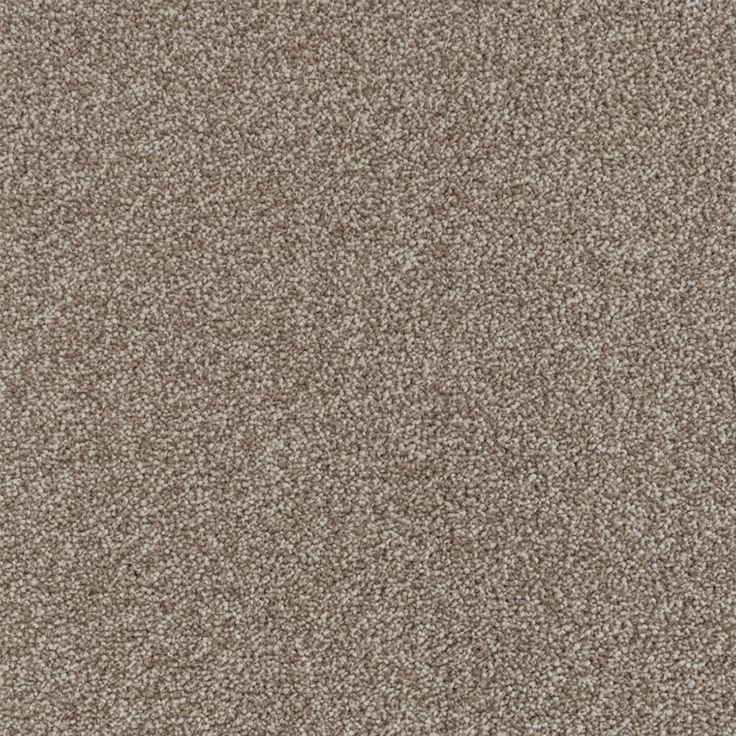 Penthouse Carpets Performance Twist Carpet