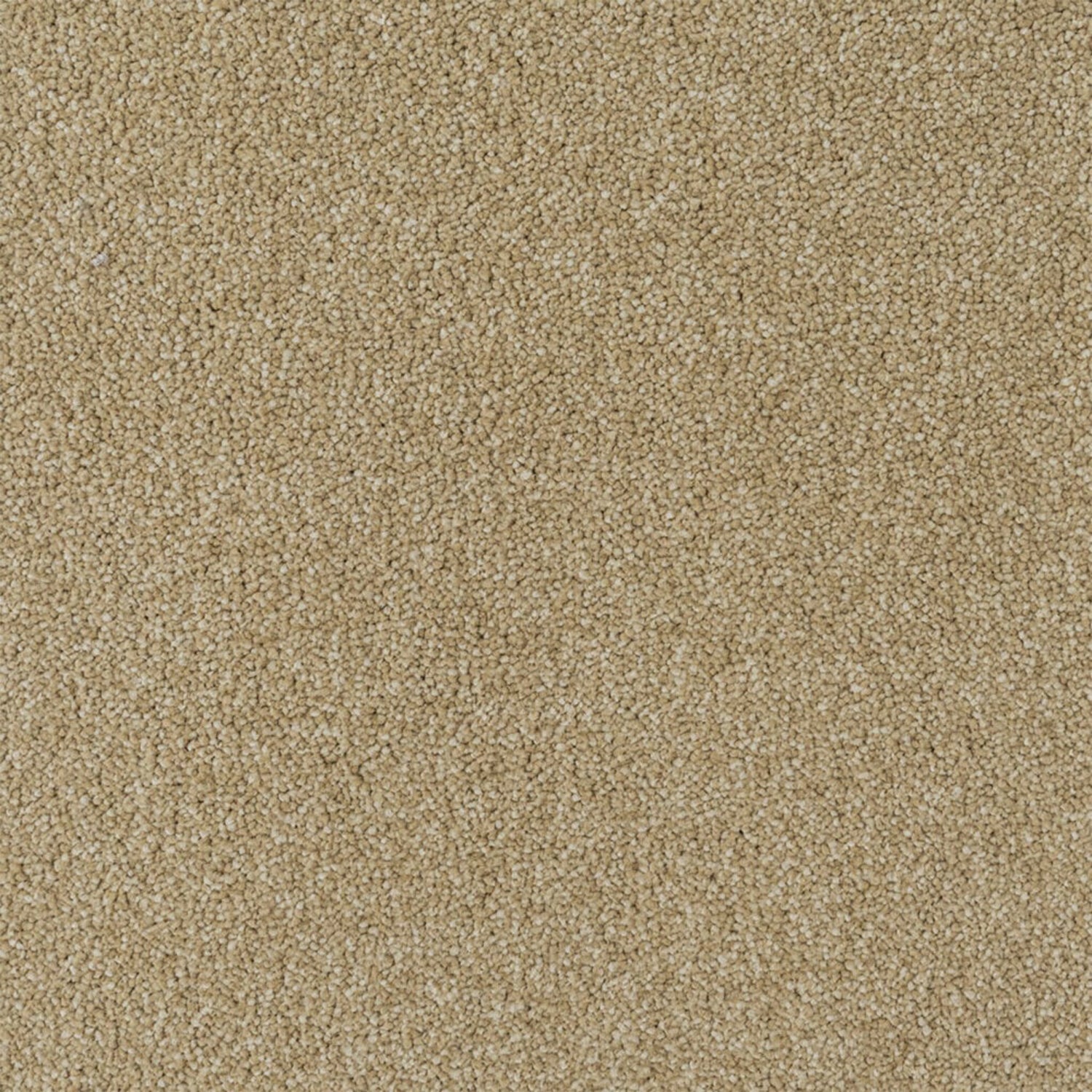 Penthouse Carpets Performance Twist Carpet