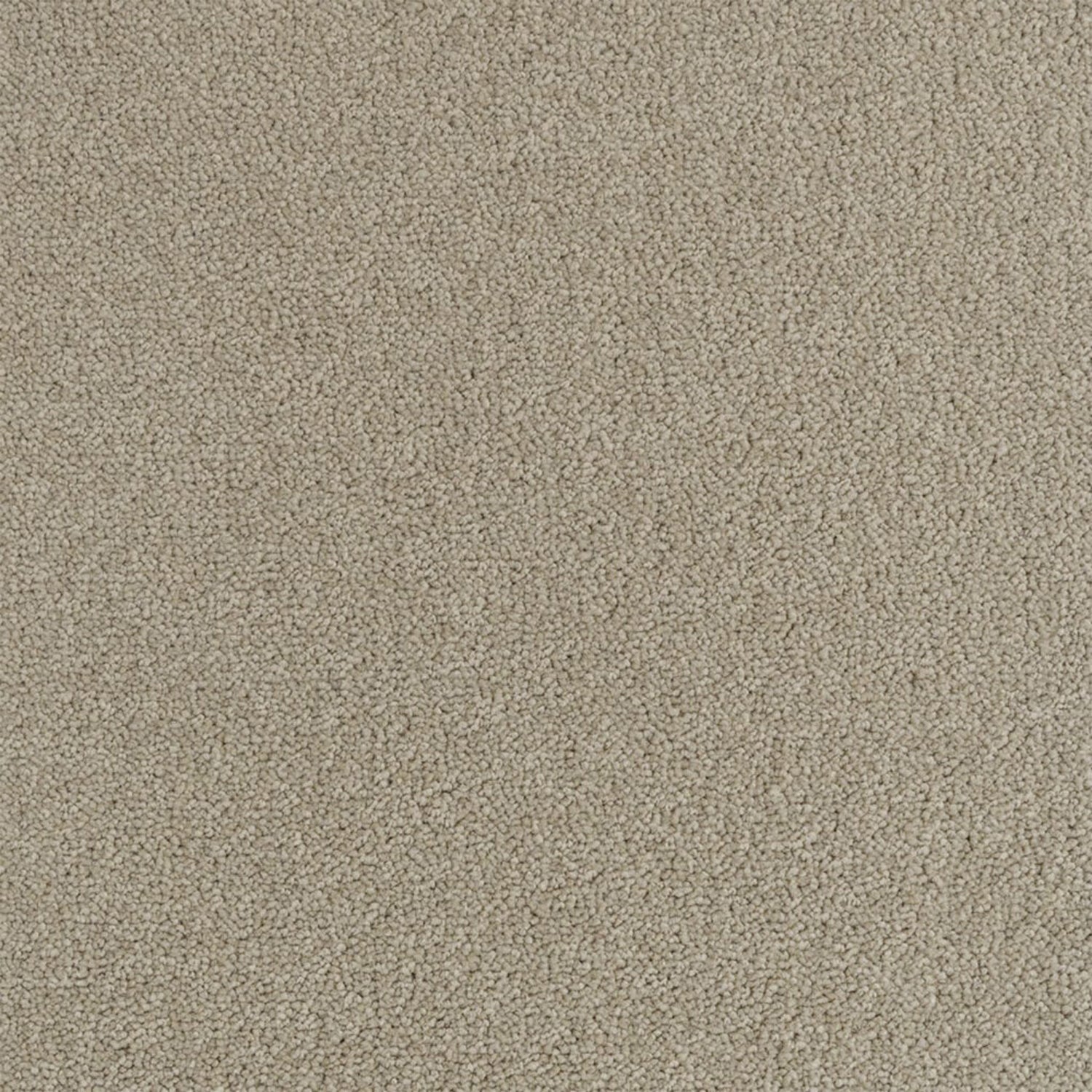 Penthouse Carpets Performance Twist Carpet