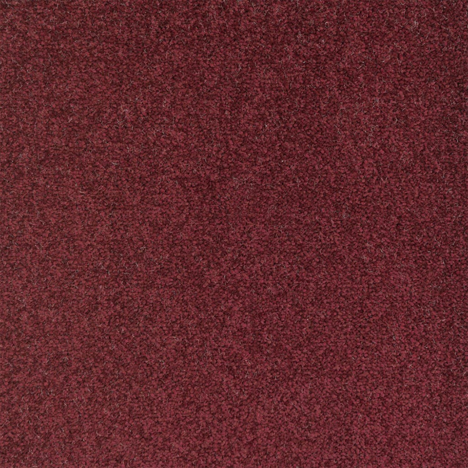 Penthouse Carpets Performance Twist Carpet