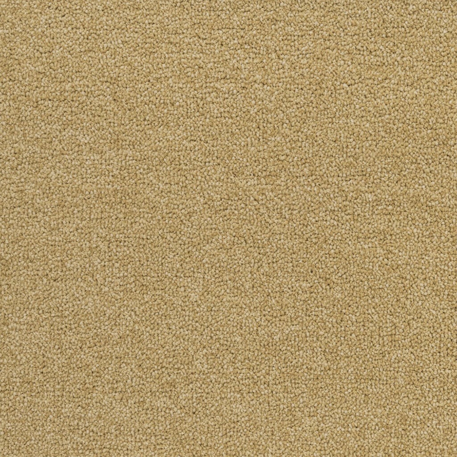 Penthouse Carpets Performance Twist Carpet