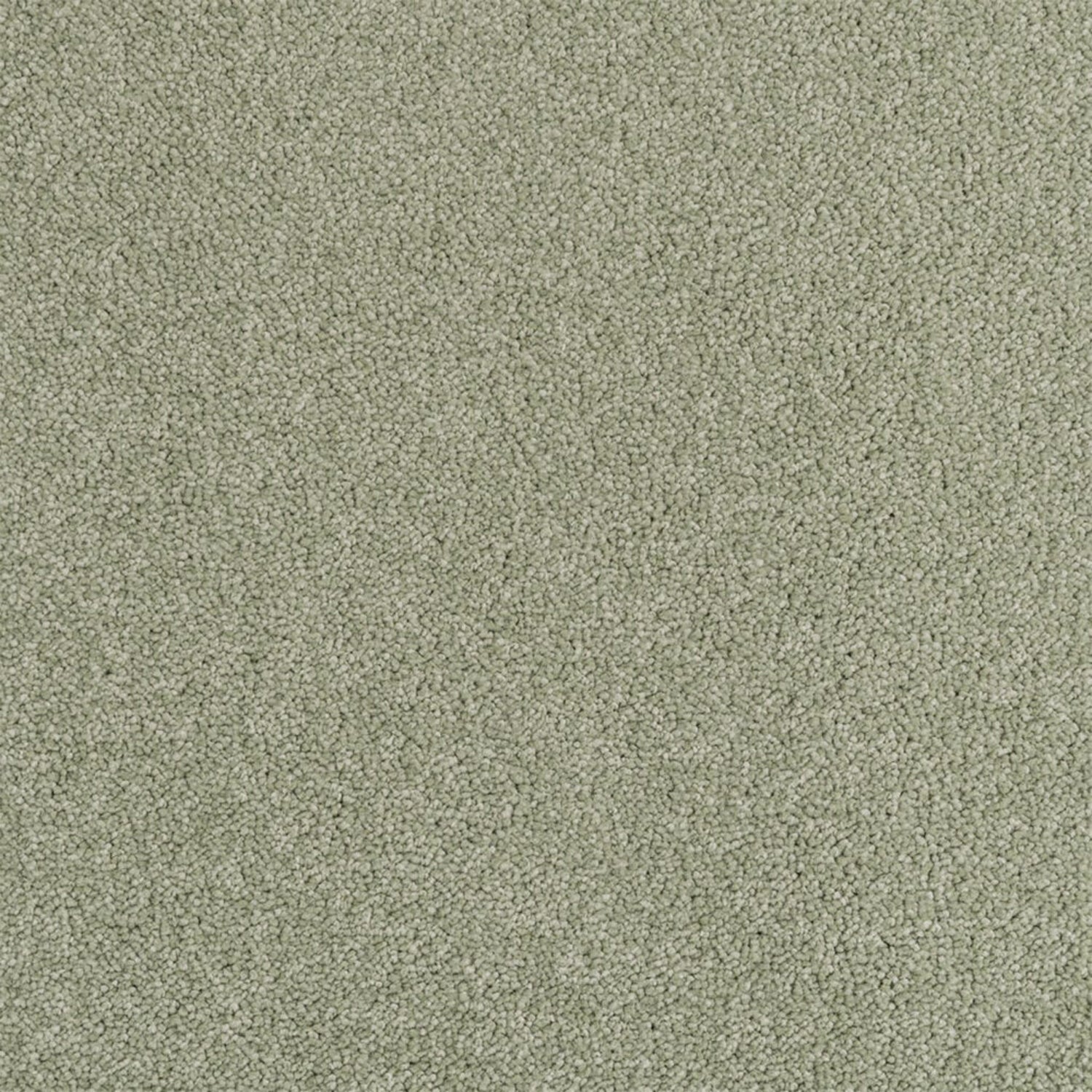 Penthouse Carpets Performance Twist Carpet