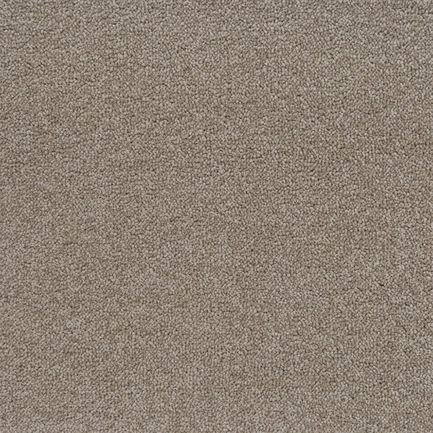 Penthouse Carpets Performance Twist Carpet