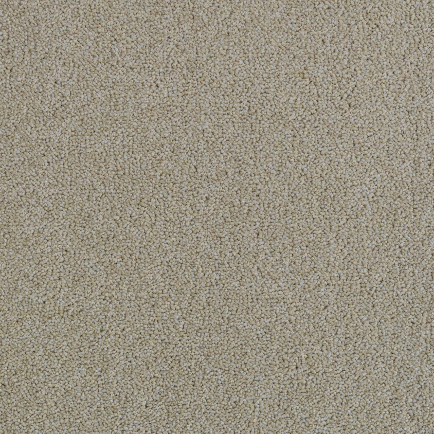 Penthouse Carpets Performance Twist Carpet