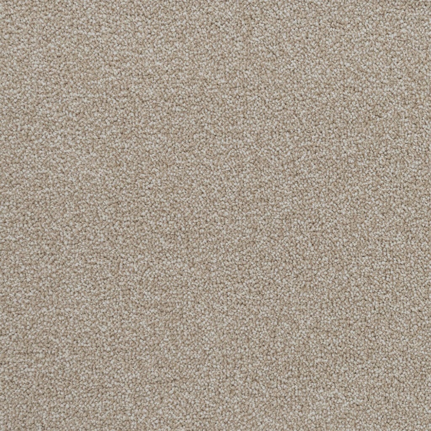 Penthouse Carpets Performance Twist Carpet