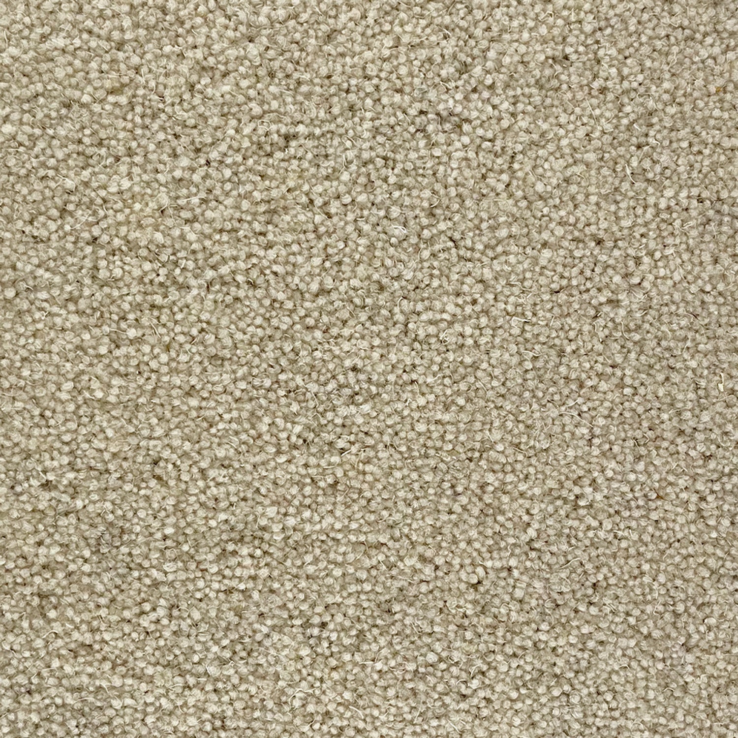 Penthouse Carpets 50oz Quartz 80% Wool Blend Twist Carpet