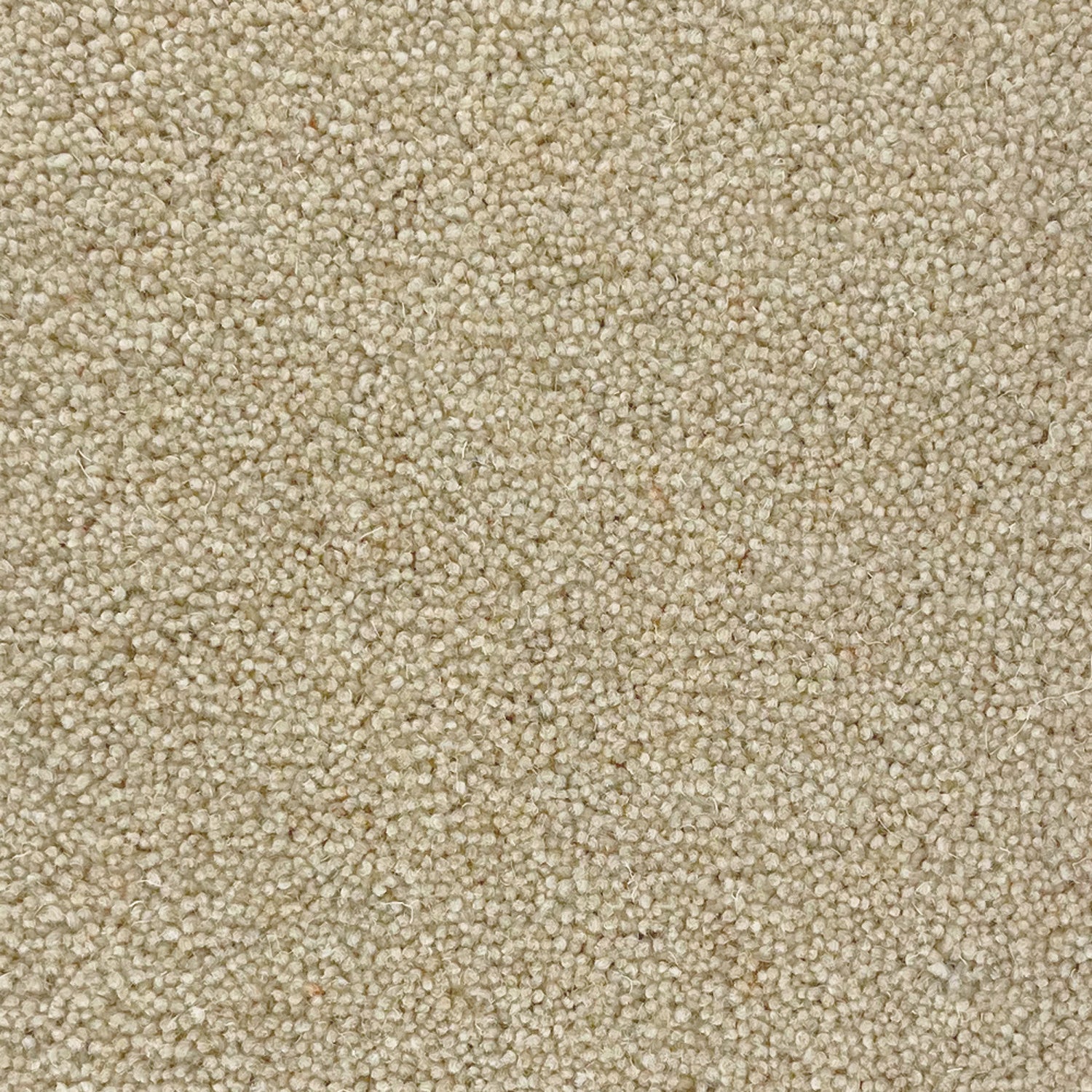 Penthouse Carpets 50oz Quartz 80% Wool Blend Twist Carpet