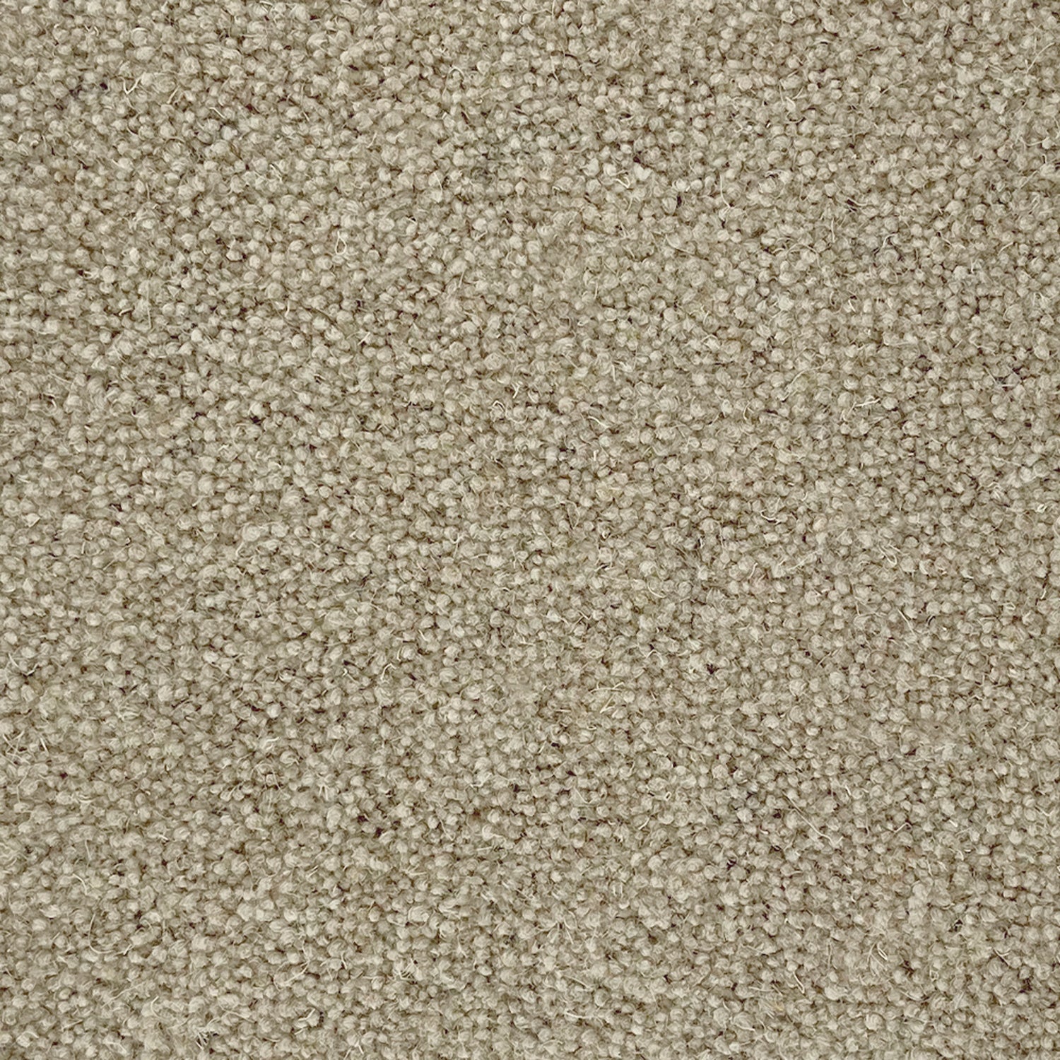 Penthouse Carpets 50oz Quartz 80% Wool Blend Twist Carpet
