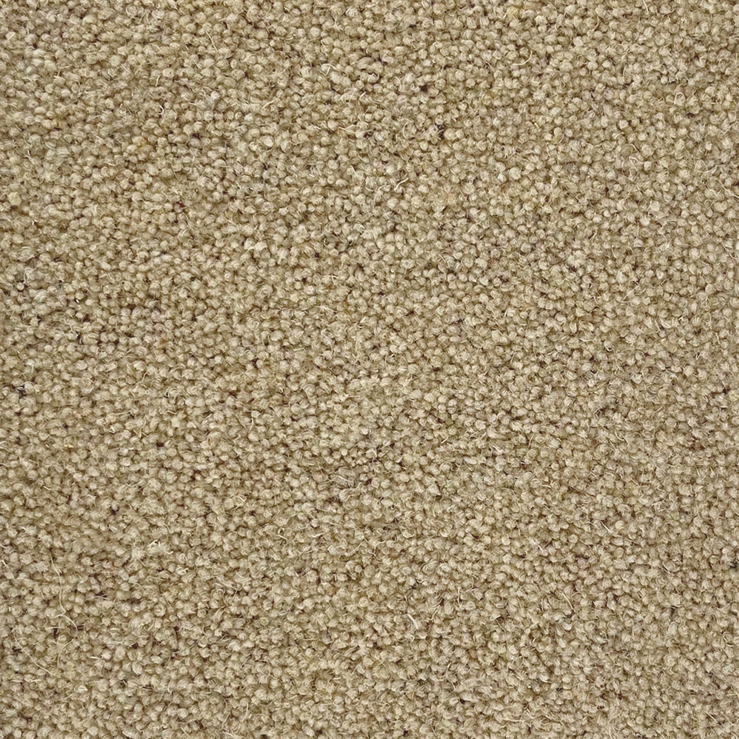 Penthouse Carpets 50oz Quartz 80% Wool Blend Twist Carpet