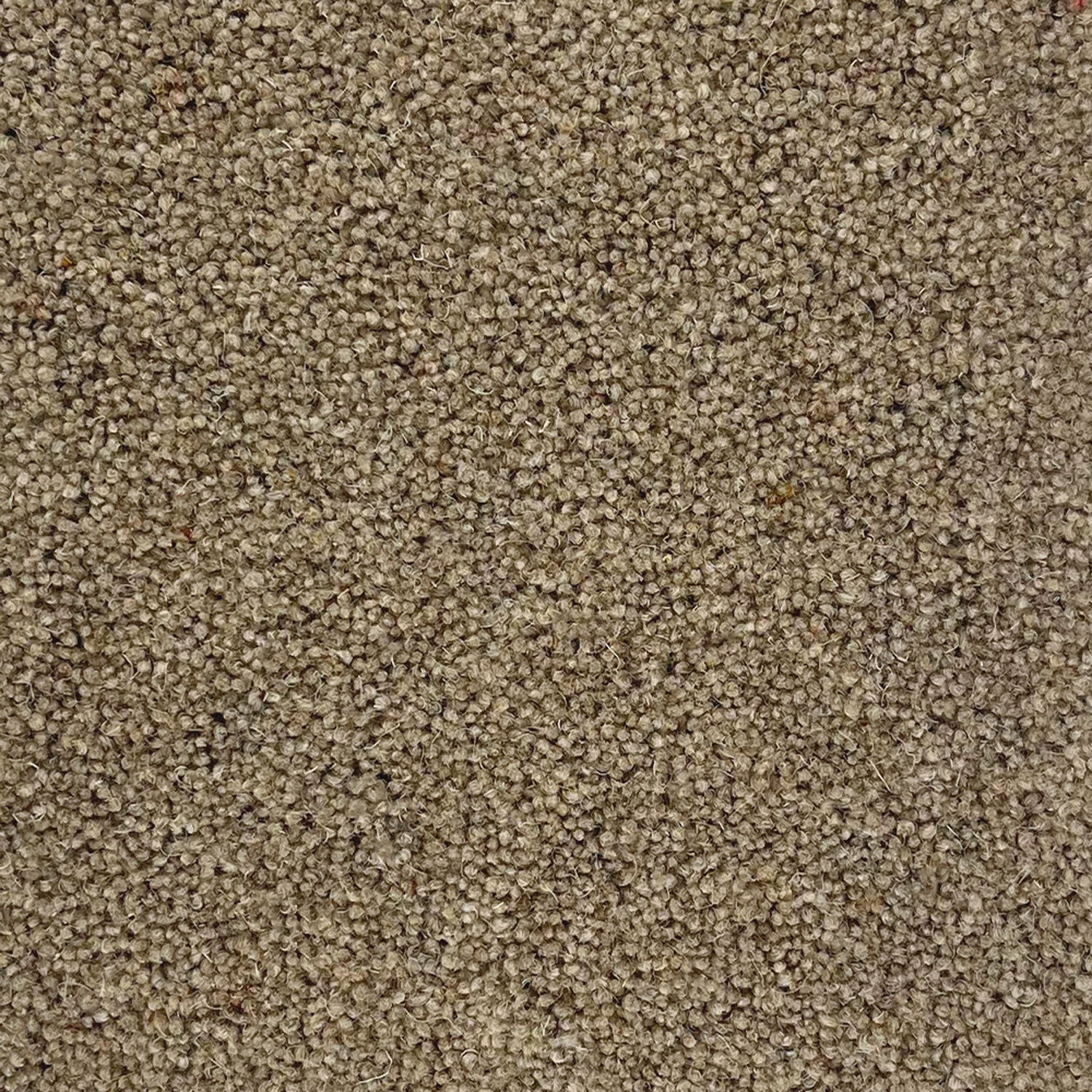 Penthouse Carpets 50oz Quartz 80% Wool Blend Twist Carpet