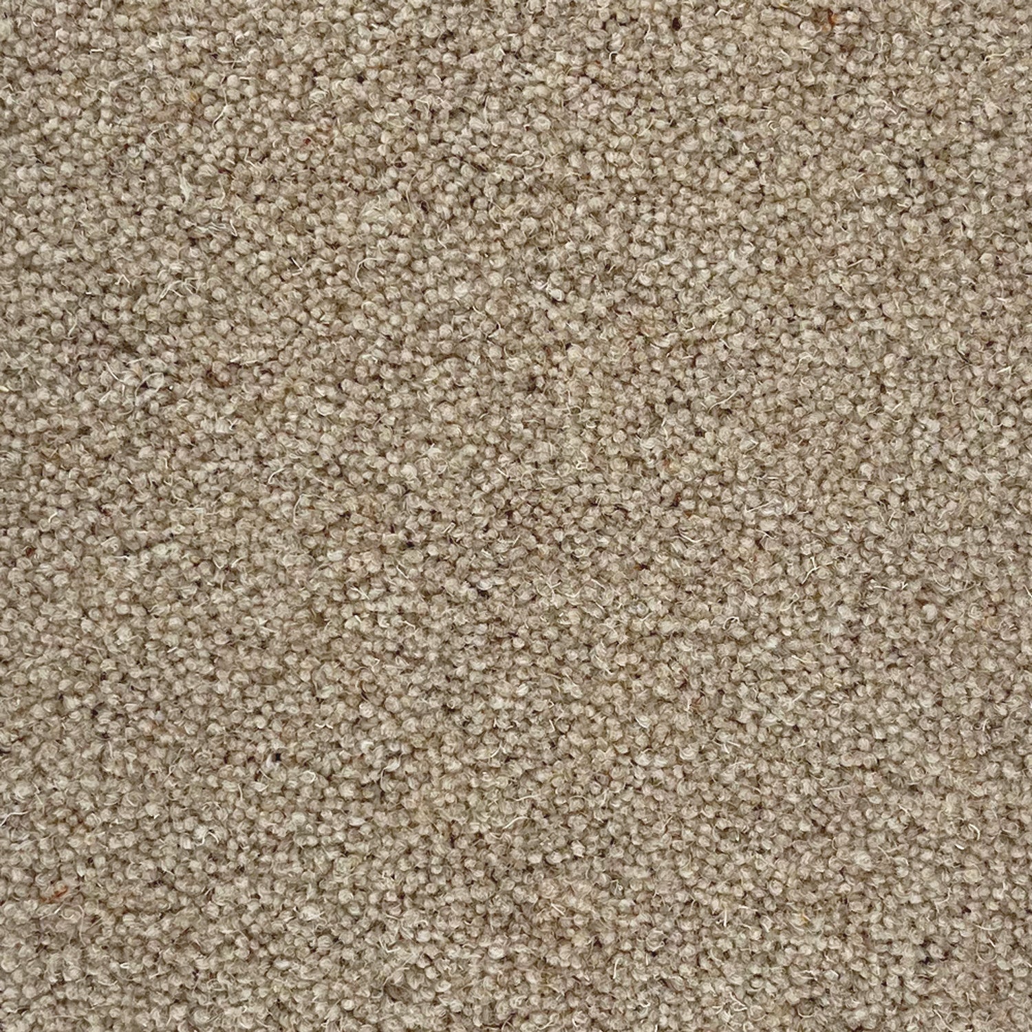 Penthouse Carpets 50oz Quartz 80% Wool Blend Twist Carpet