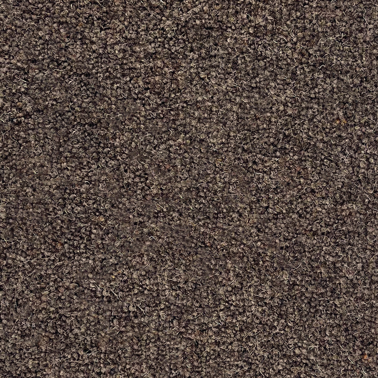 Penthouse Carpets 50oz Shoreline 80% Wool Blend Twist Carpet
