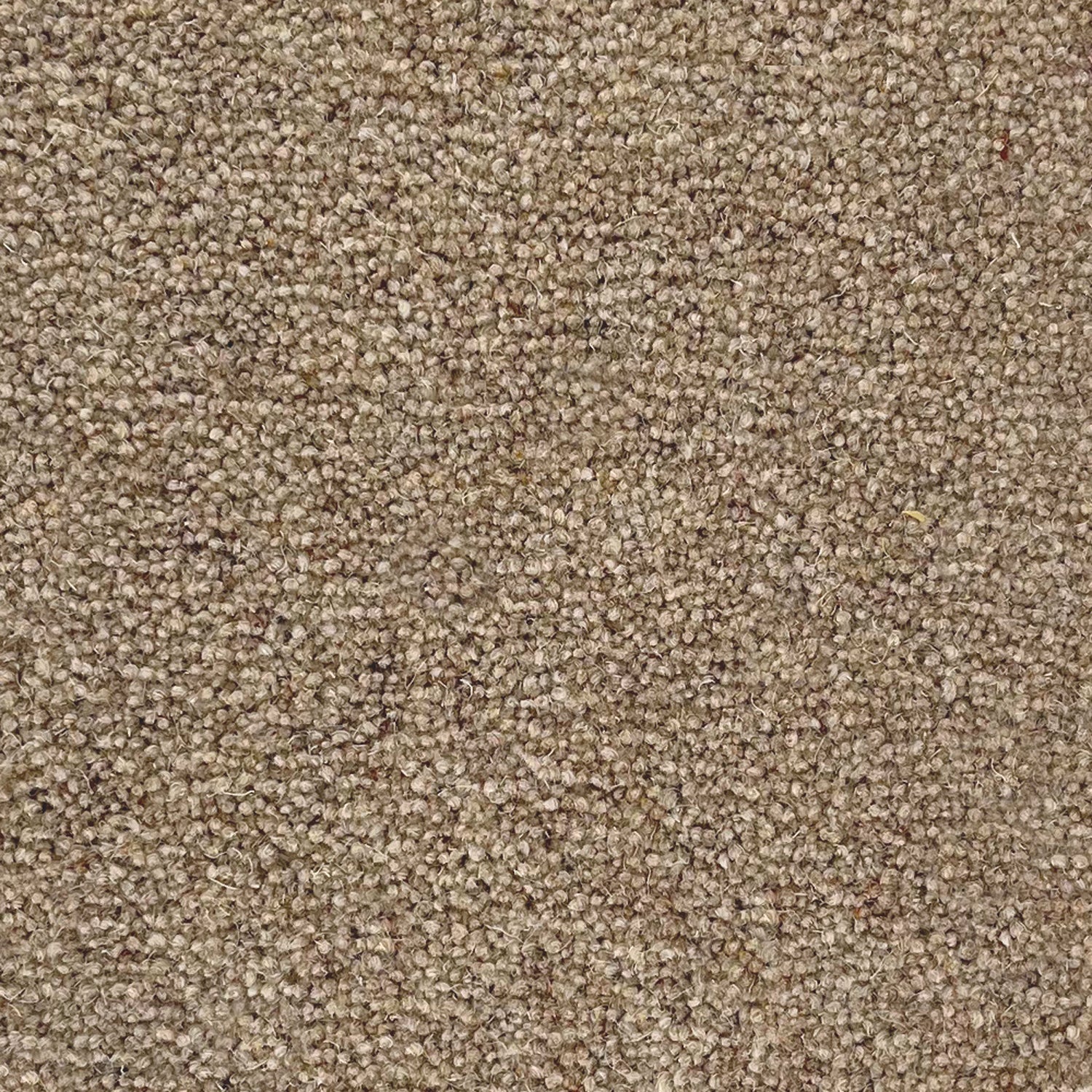 Penthouse Carpets 50oz Shoreline 80% Wool Blend Twist Carpet