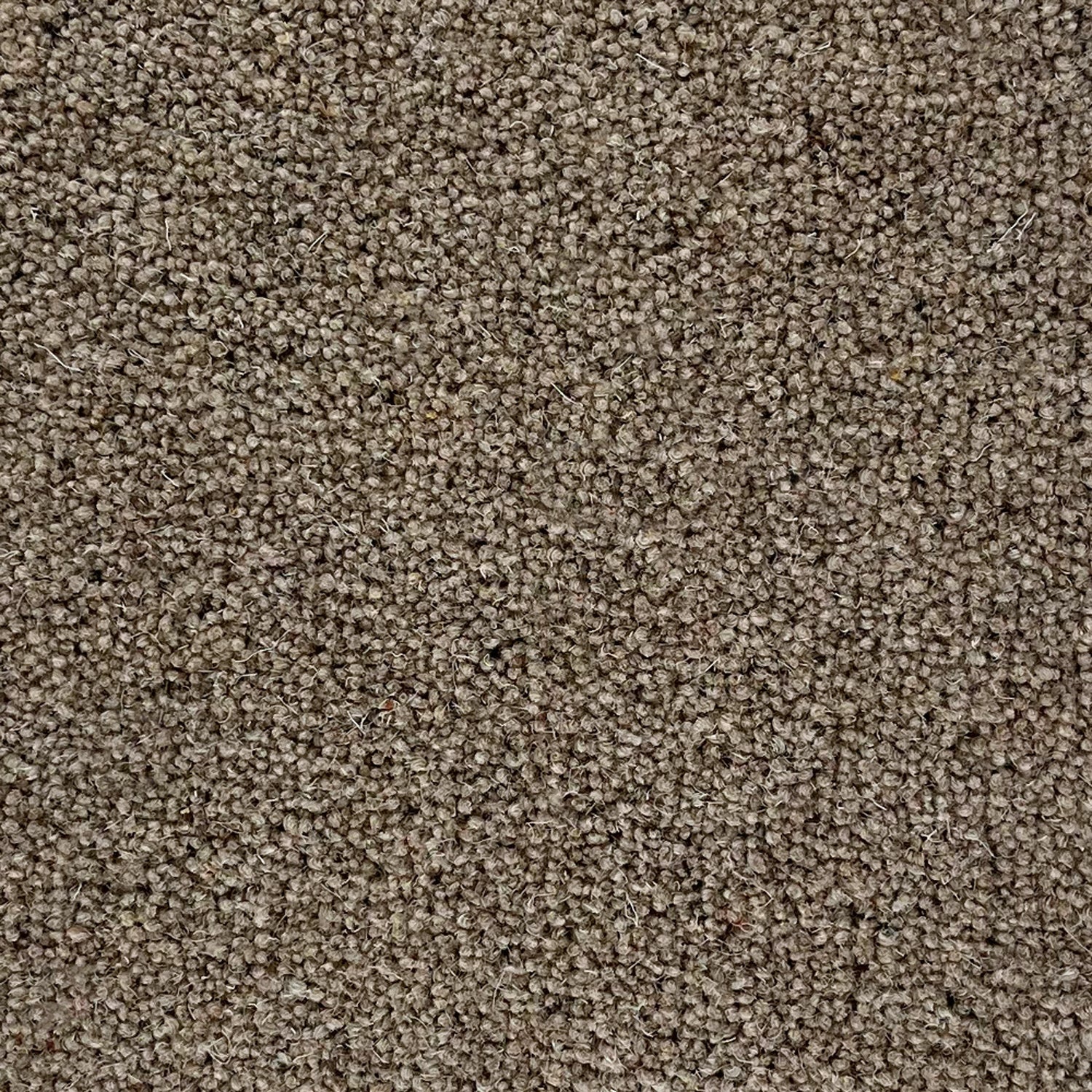 Penthouse Carpets 40oz Shoreline 80% Wool Blend Twist Carpet