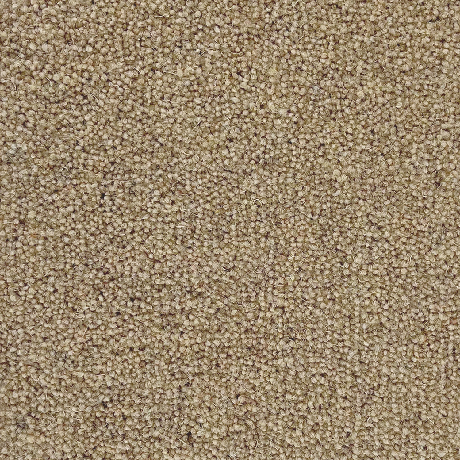 Penthouse Carpets 50oz Shoreline 80% Wool Blend Twist Carpet