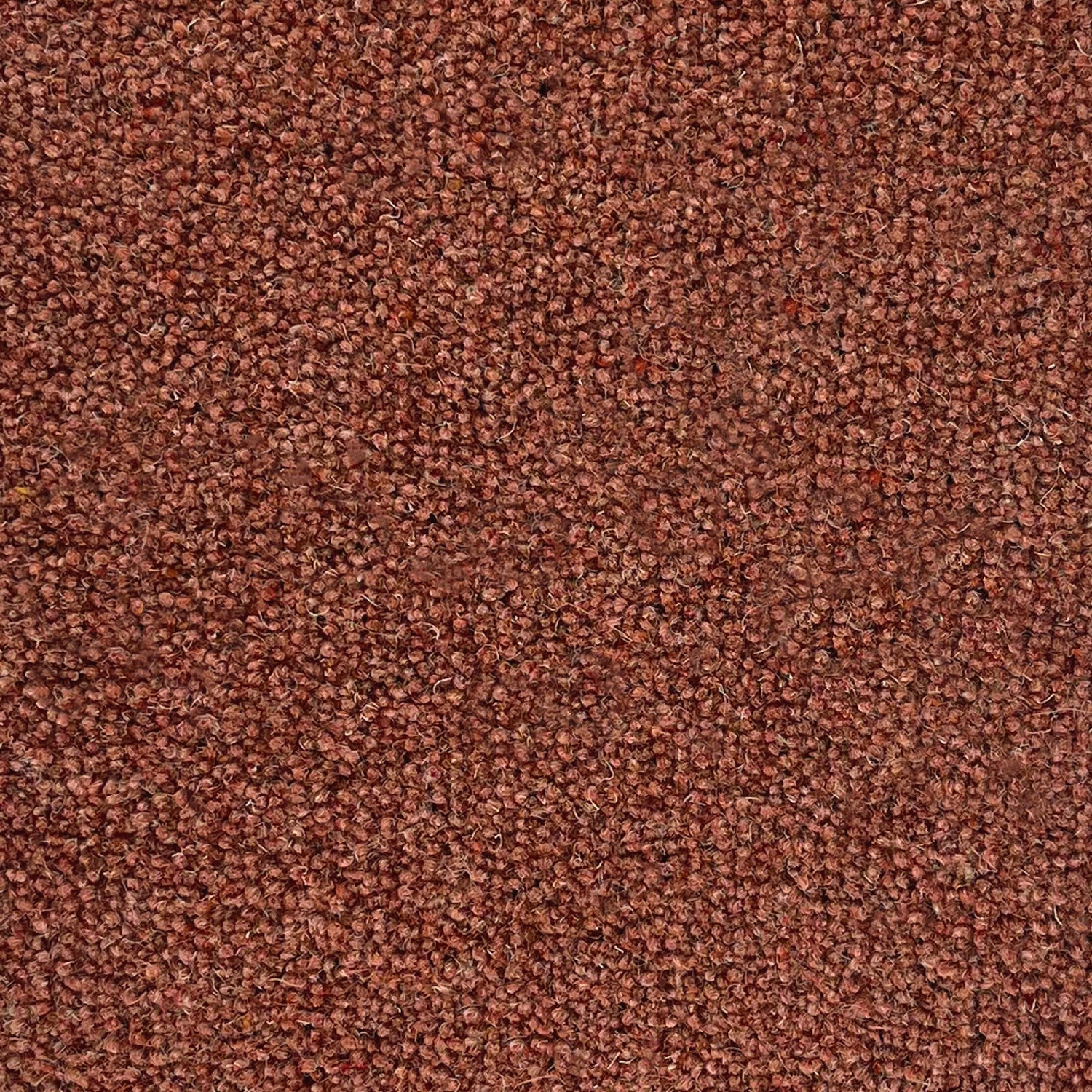 Penthouse Carpets 50oz Shoreline 80% Wool Blend Twist Carpet