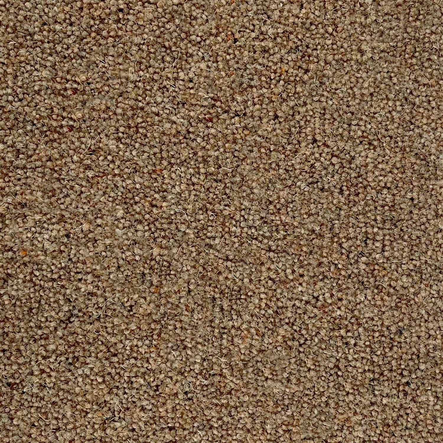 Penthouse Carpets 50oz Shoreline 80% Wool Blend Twist Carpet