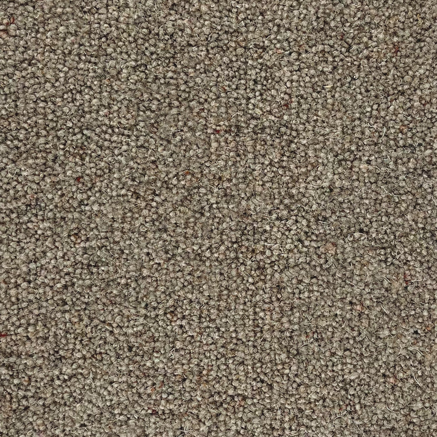 Penthouse Carpets 50oz Shoreline 80% Wool Blend Twist Carpet