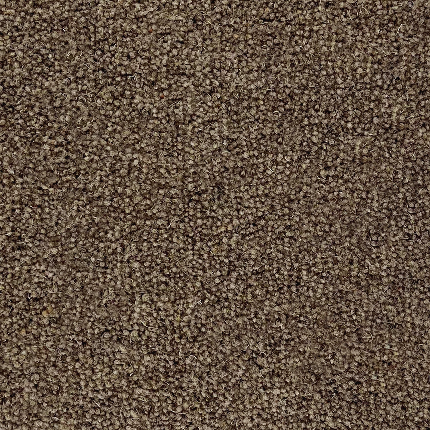 Penthouse Carpets 40oz Shoreline 80% Wool Blend Twist Carpet