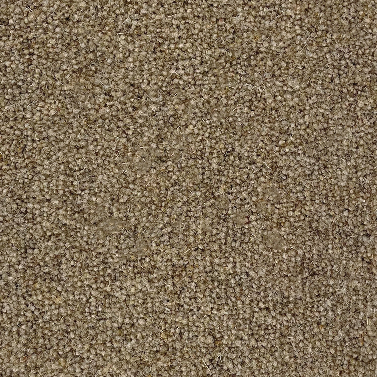 Penthouse Carpets 50oz Super Maxim 80% Wool Blend Twist Pile Carpet