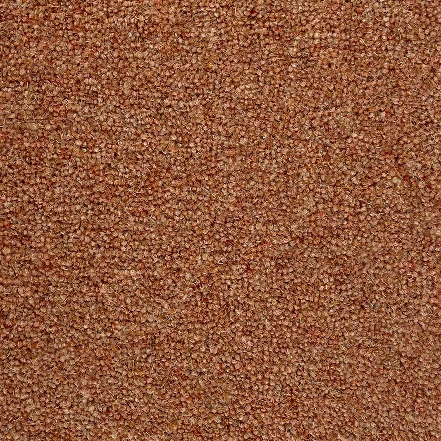 Penthouse Carpets 50oz Super Maxim 80% Wool Blend Twist Pile Carpet